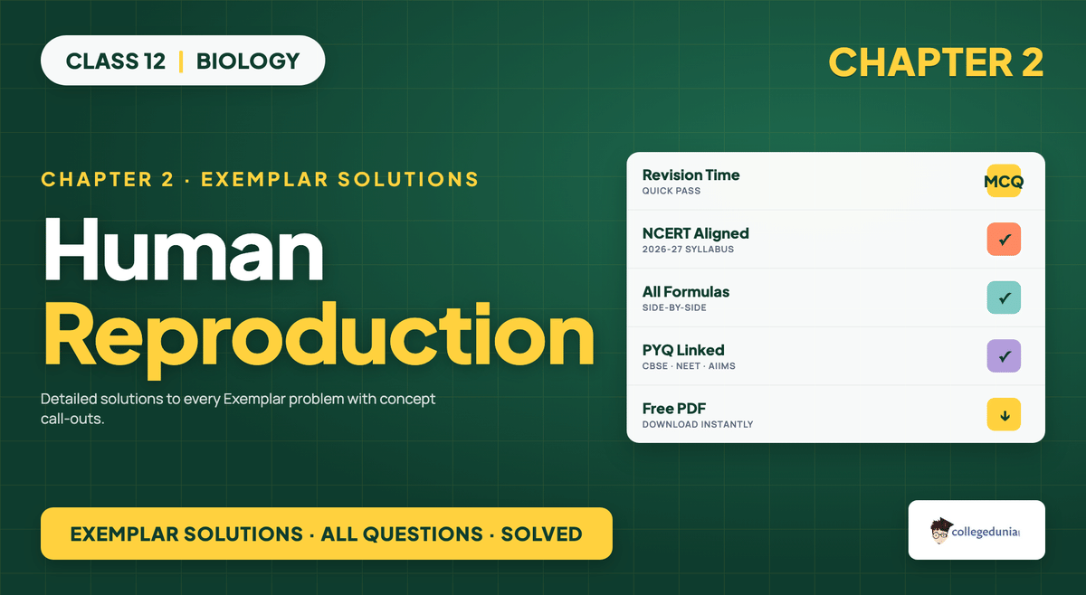 Human Reproduction NCERT Exemplar Solutions - Class 12 Biology