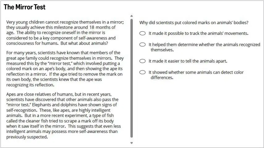 Read an Academic Passage