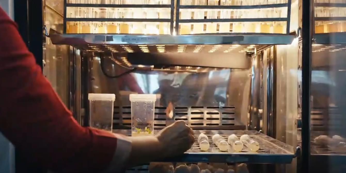 Telangana Mahila Viswavidyalayam Laboratory