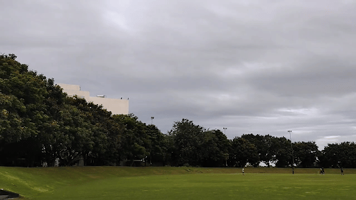 NMIMS Shirpur Cricket Ground