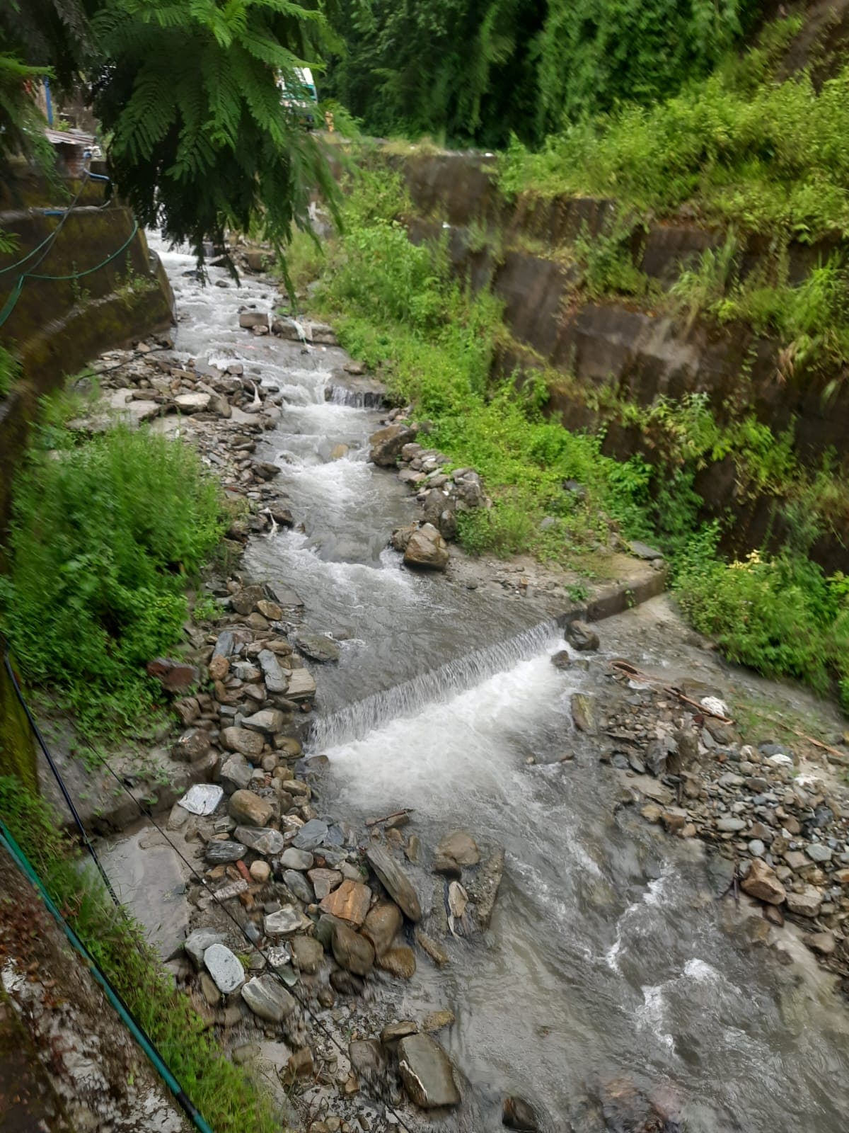 Himalayan Pharmacy Institute East Sikkim General photo (16) by Prince Kumar Singh
