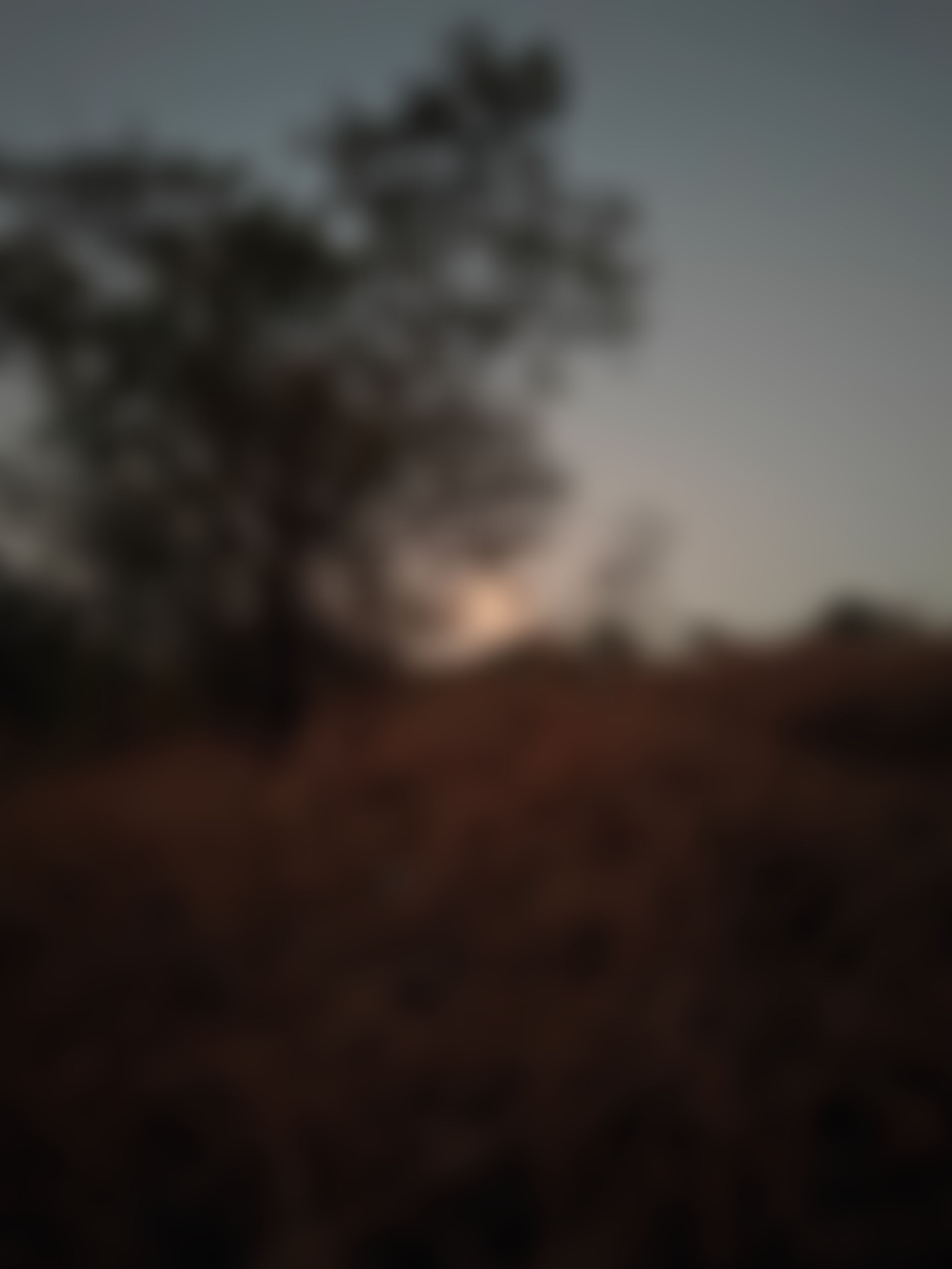 ILS Pune Campus photo (19) by Tanvi Ghadge