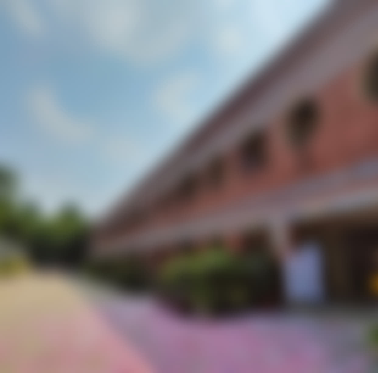 Aryabhatta College Campus photo (8) by Ansh