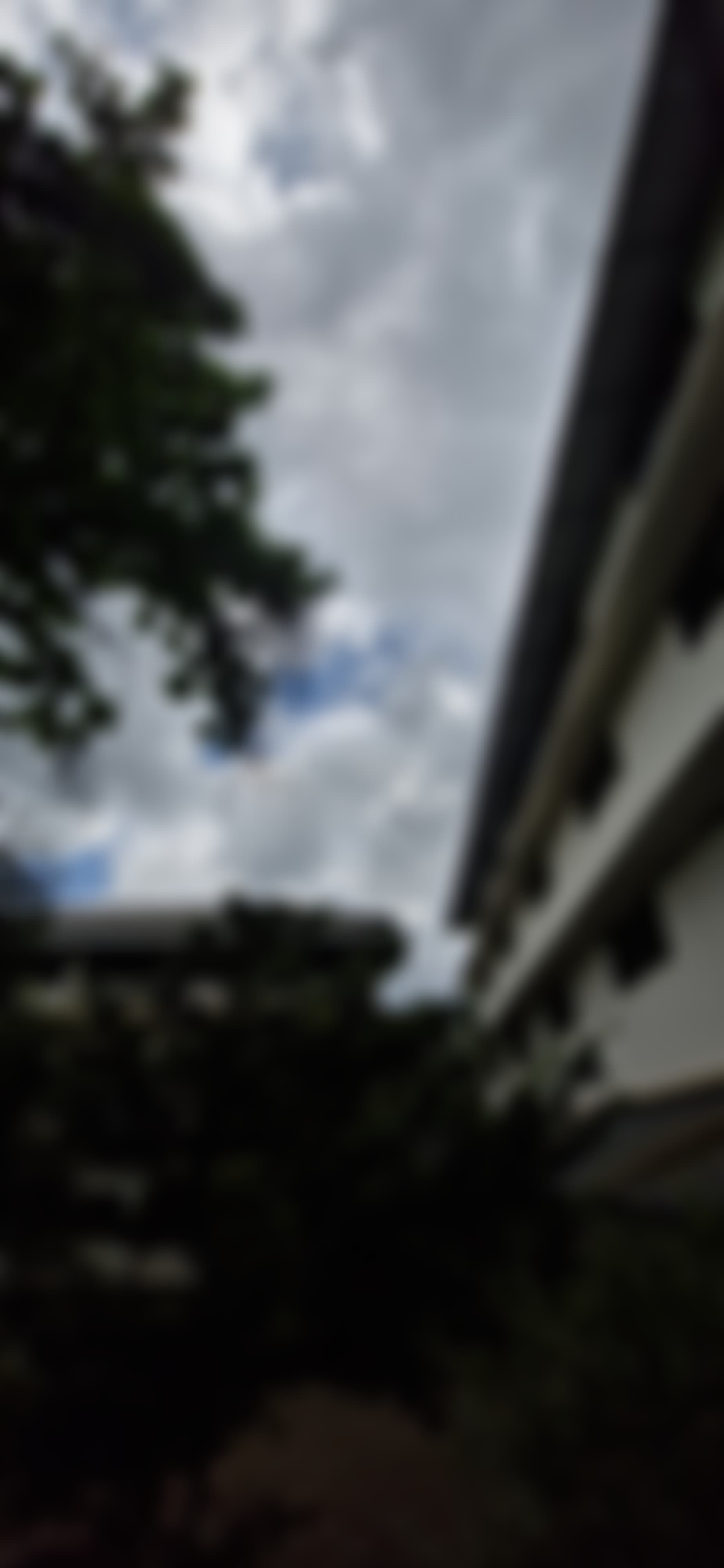 Ansar Womens College Thrissur Campus photo (4) by Lamisha