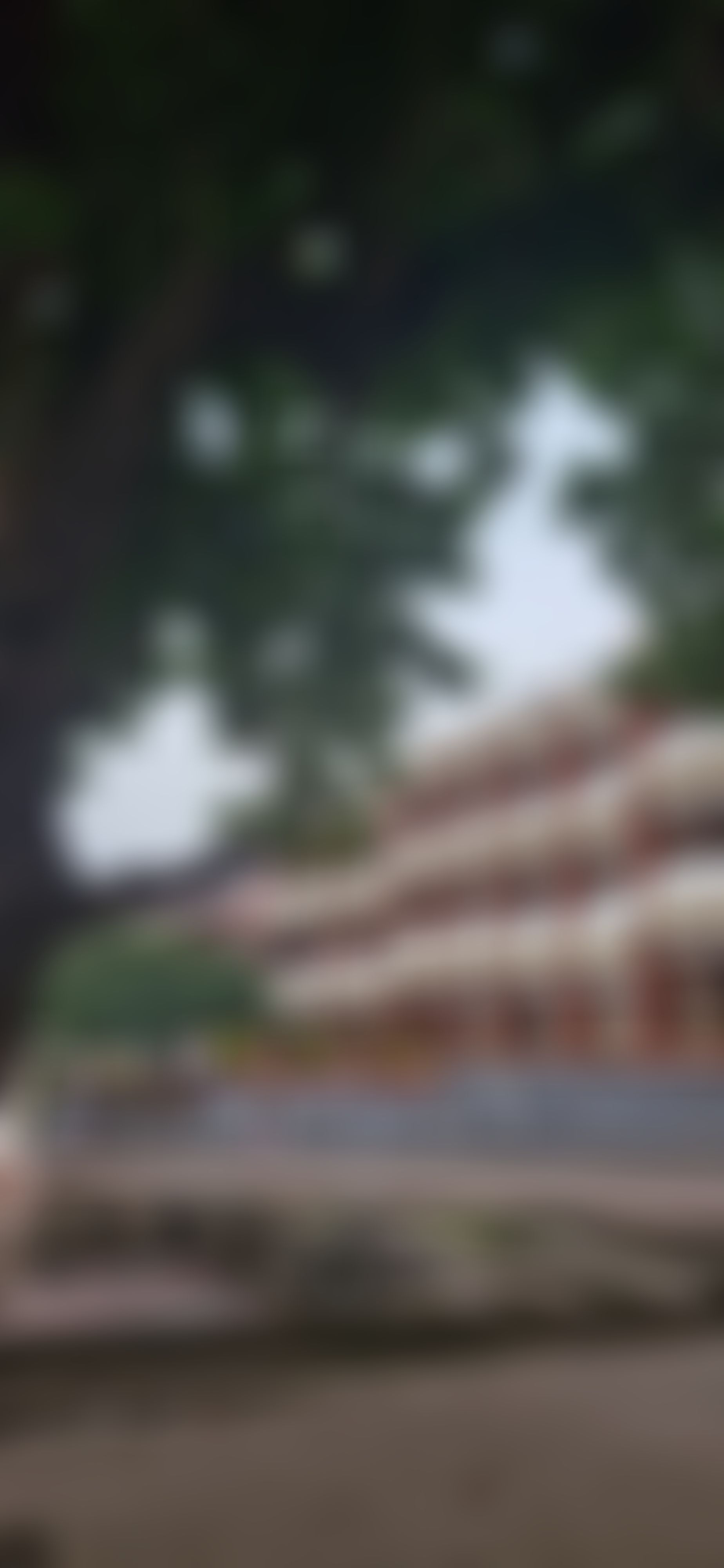 Ansar Womens College Thrissur Campus photo (2) by Lamisha