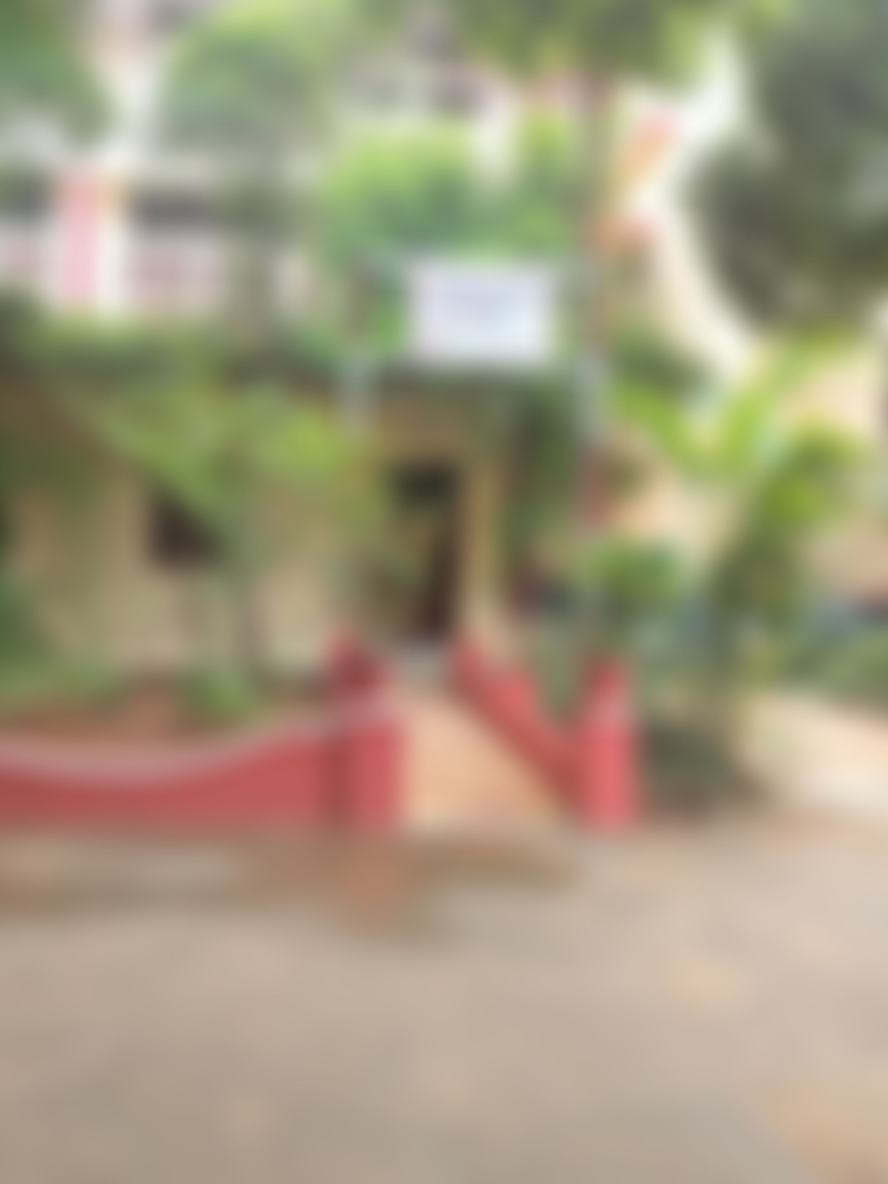 St Francis College for Women Hyderabad Campus photo (12) by Alisha Ana Arief