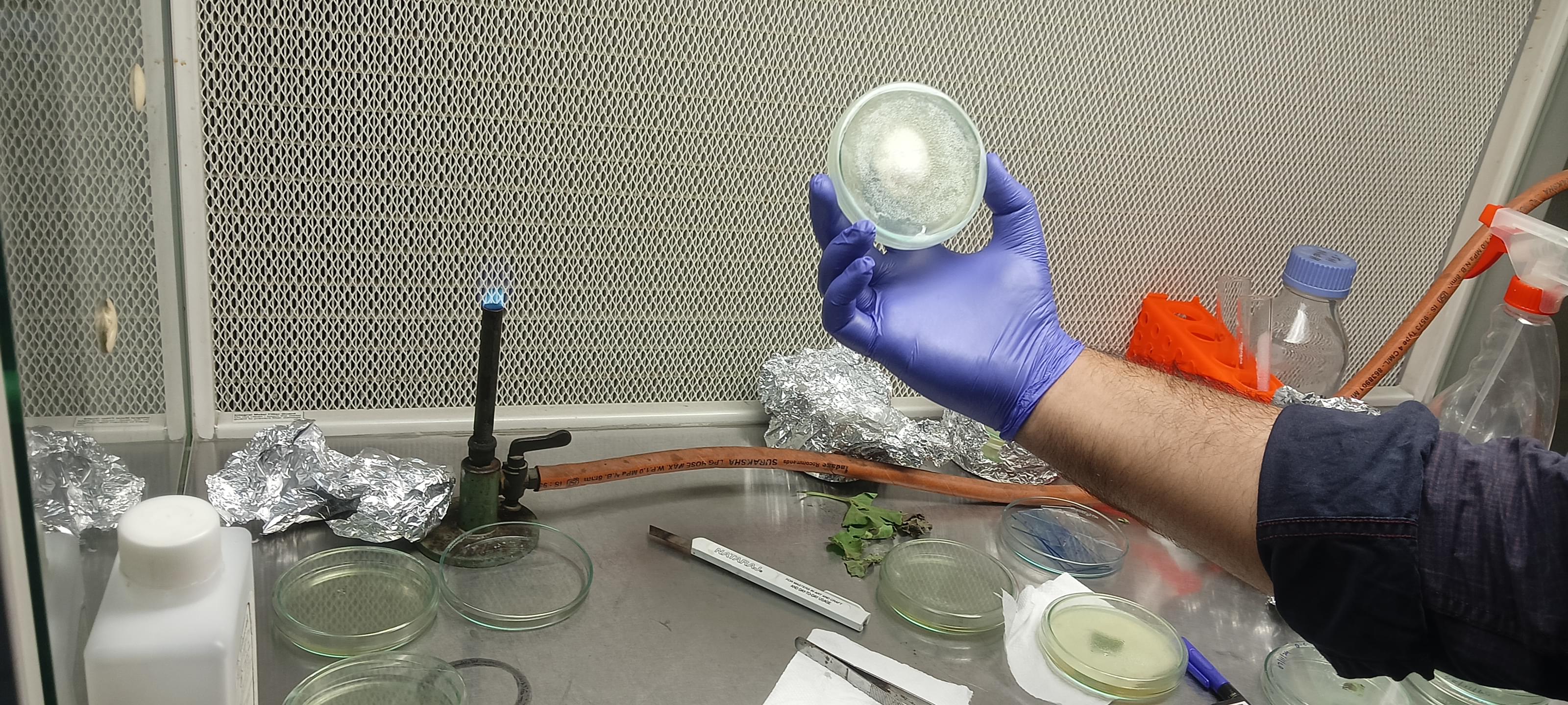 HCST Extra-Curricular photo (3) by Sujay Sharma