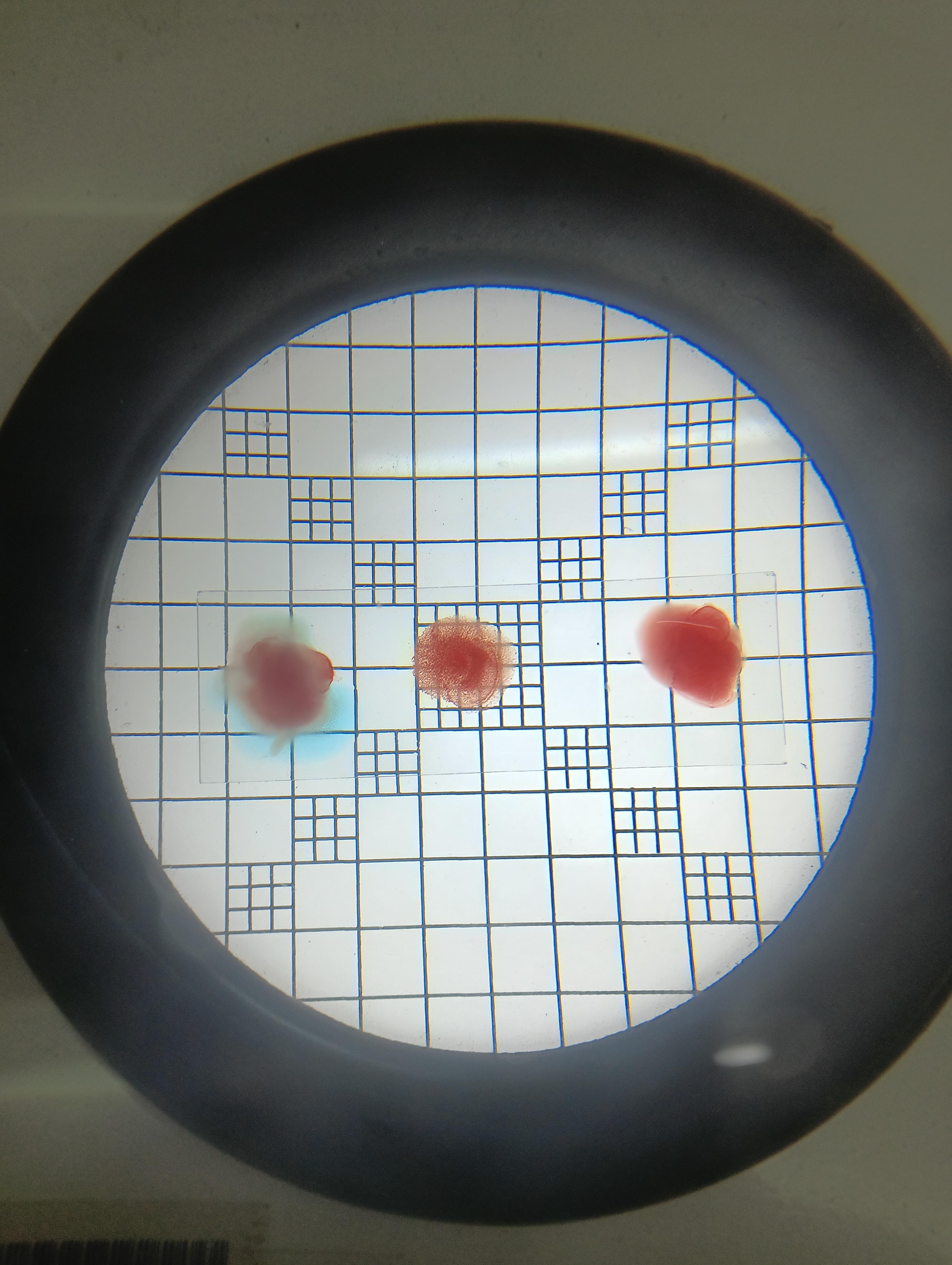 HCST Facilities & Labs photo (2) by Sujay Sharma