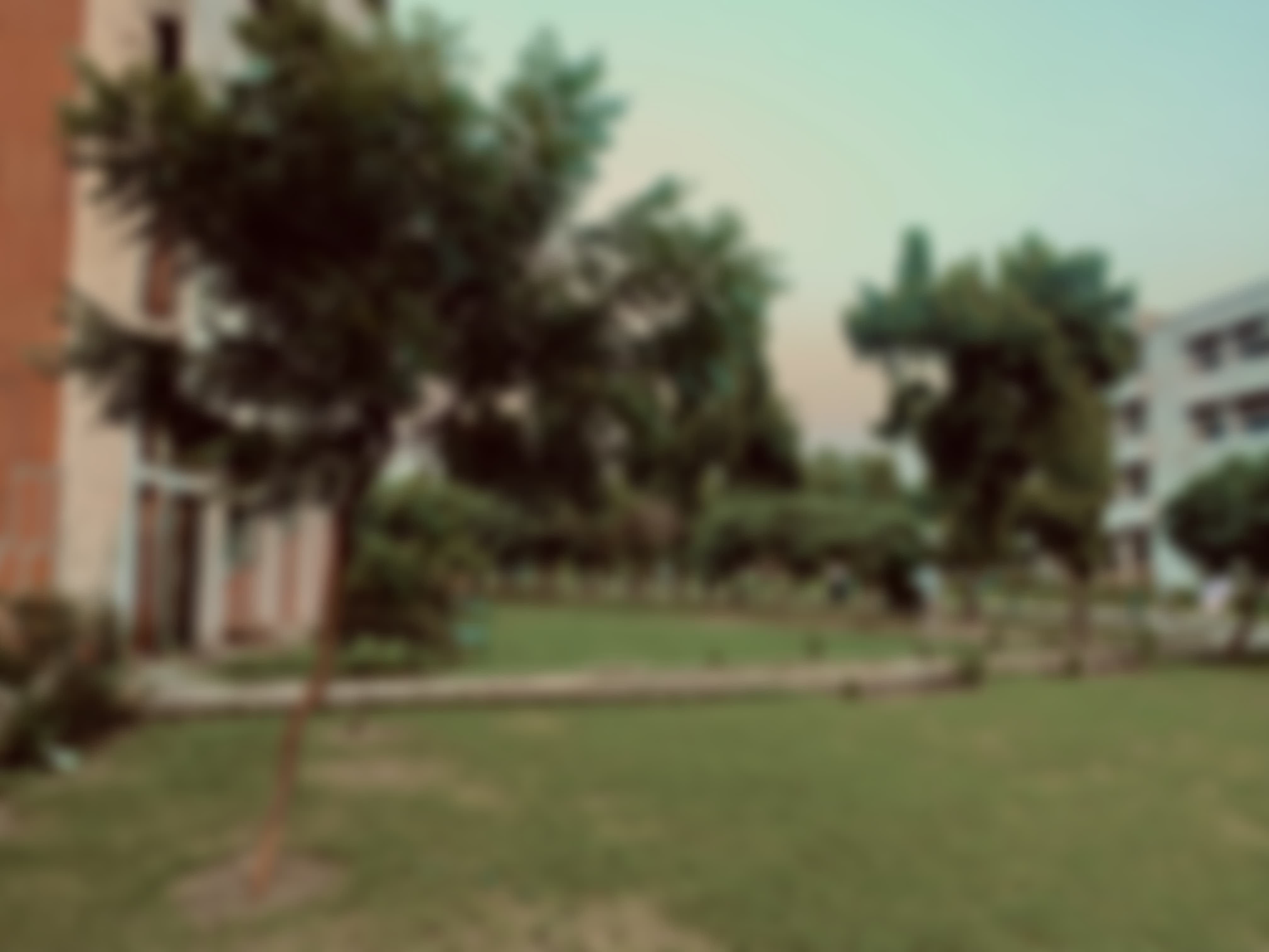 UIET Chandigarh Infrastructure & Academic Building photo (12) by Yug