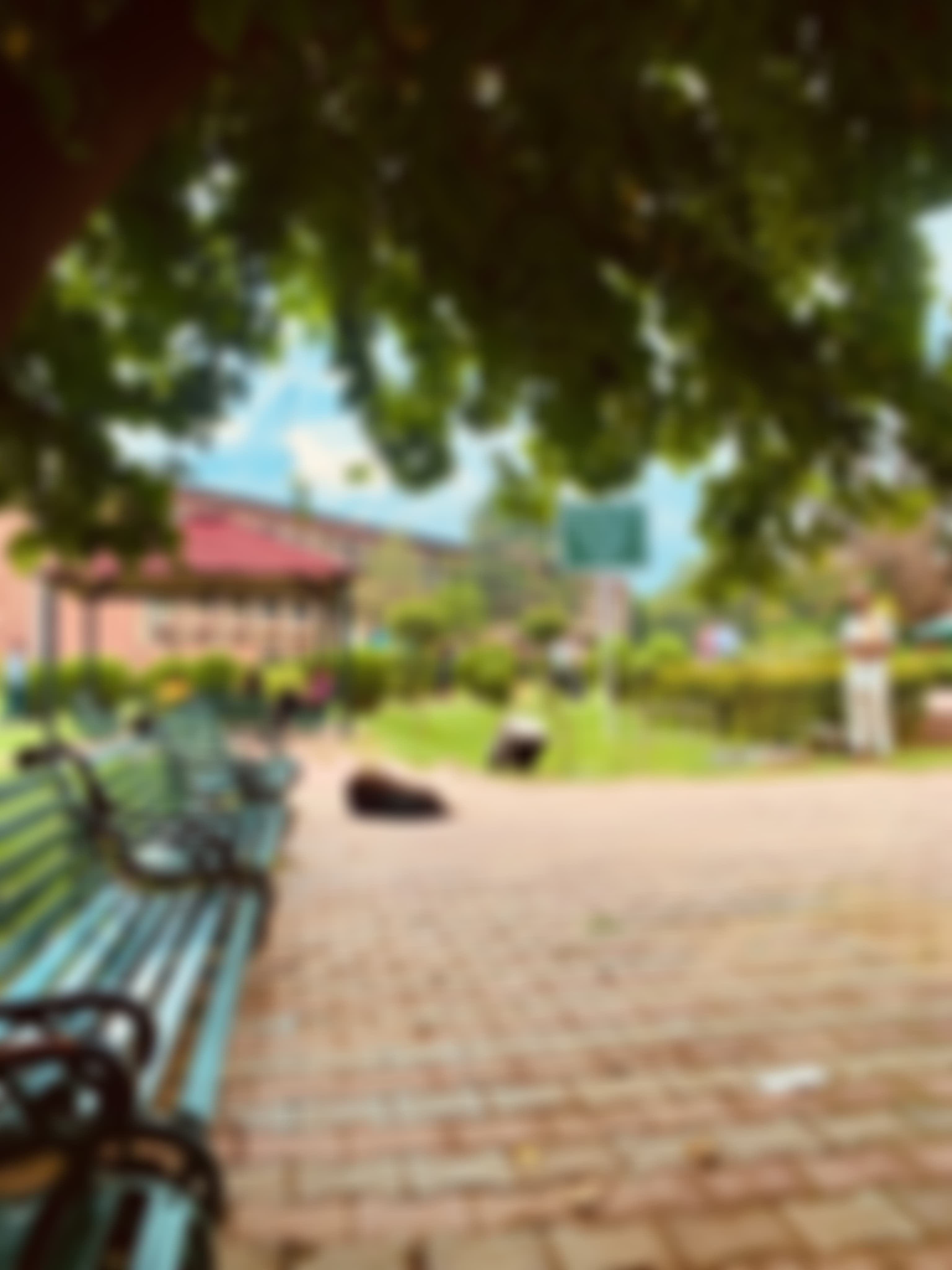 UIET Chandigarh Campus photo (8) by Anurag Sharma