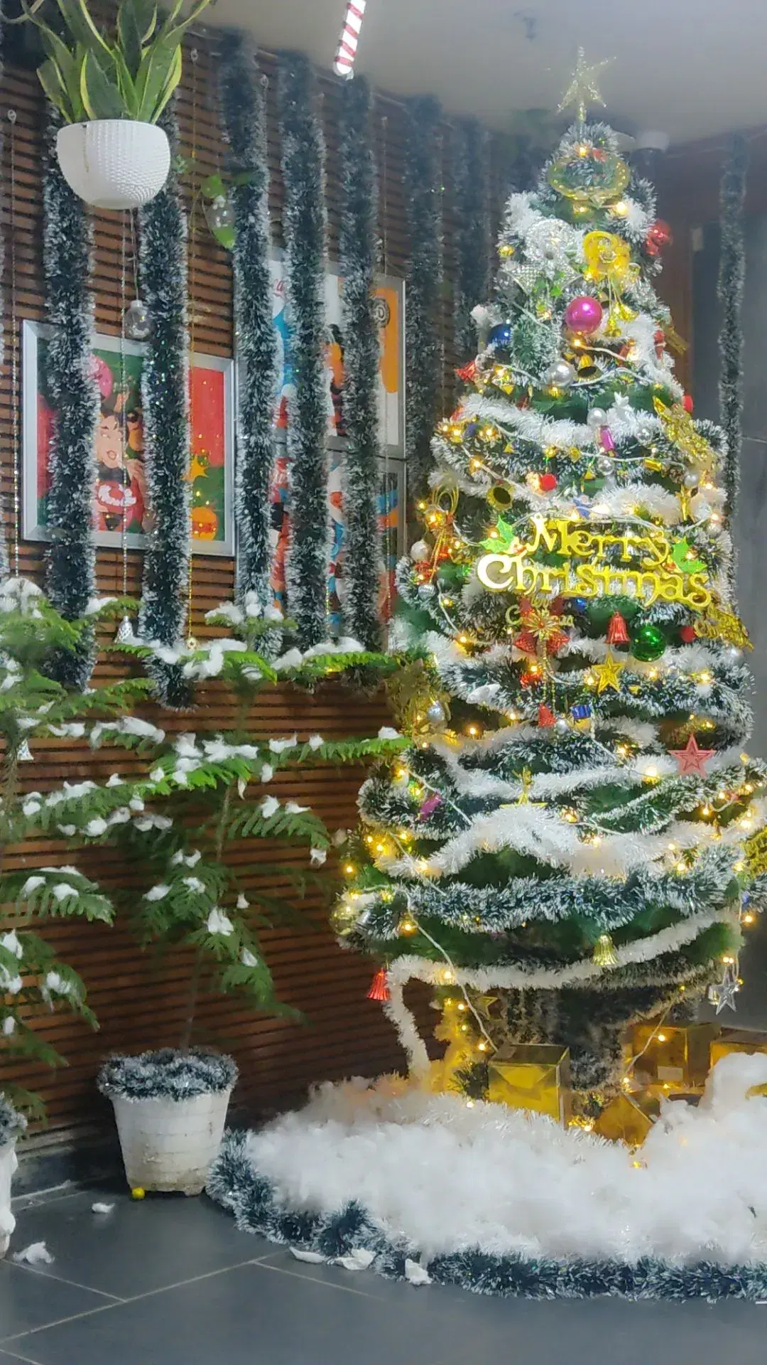 Amity University Gurgaon Events photo (14) by sarika shekh