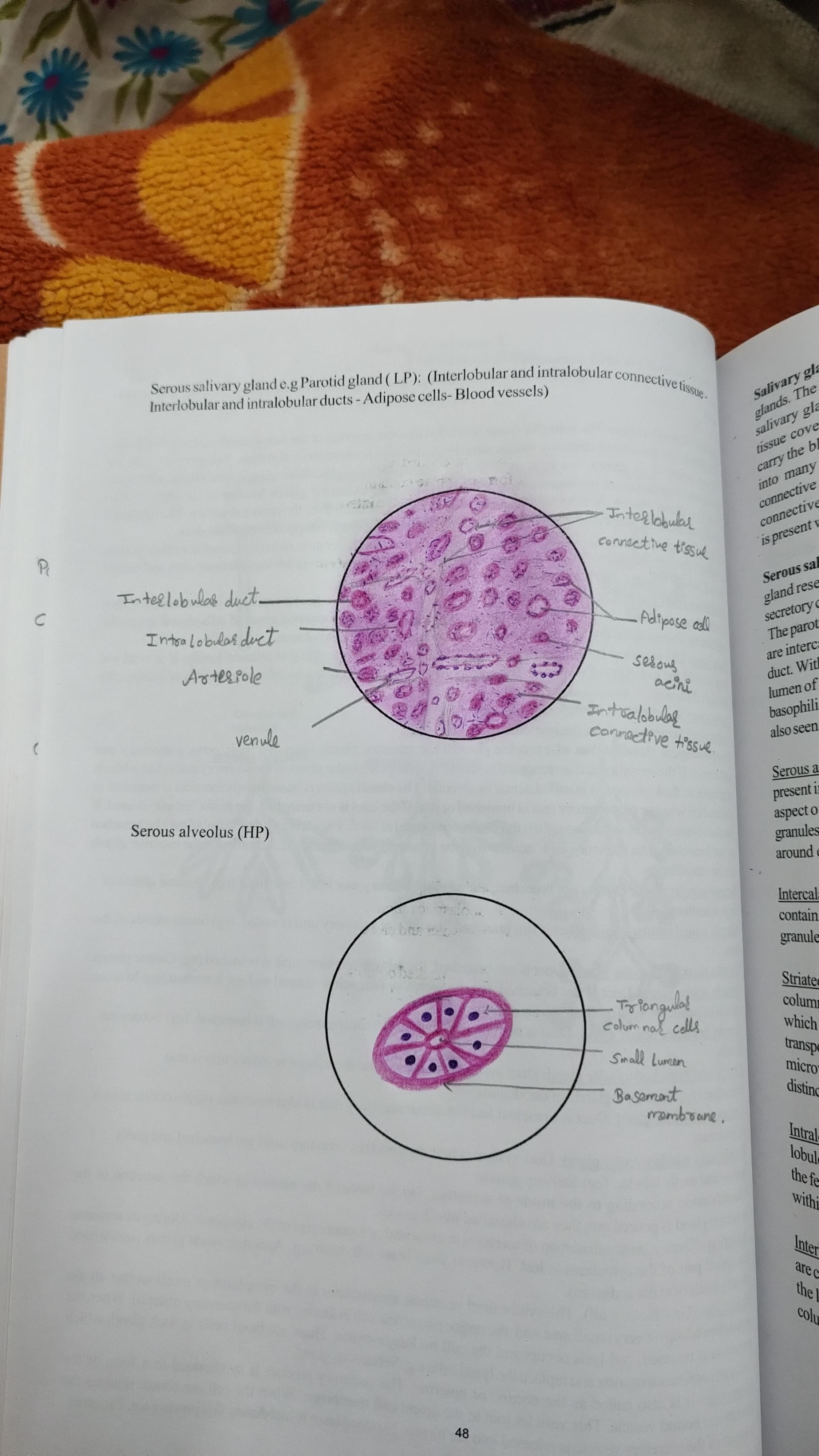 KEM Mumbai Facilities & Labs photo (7) by Atharva Shelar