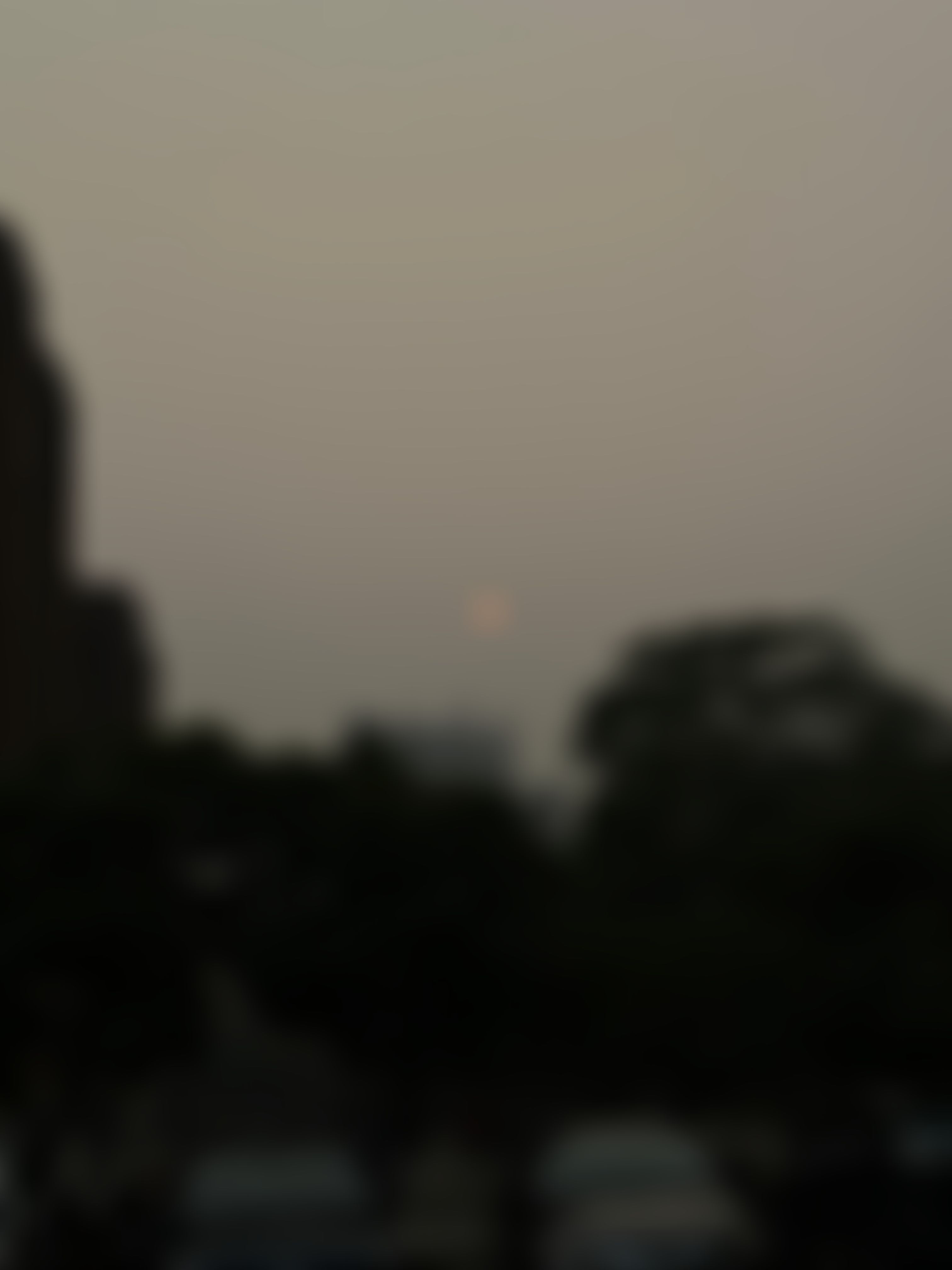 AMU Campus photo (7) by Divyanshu Gupta