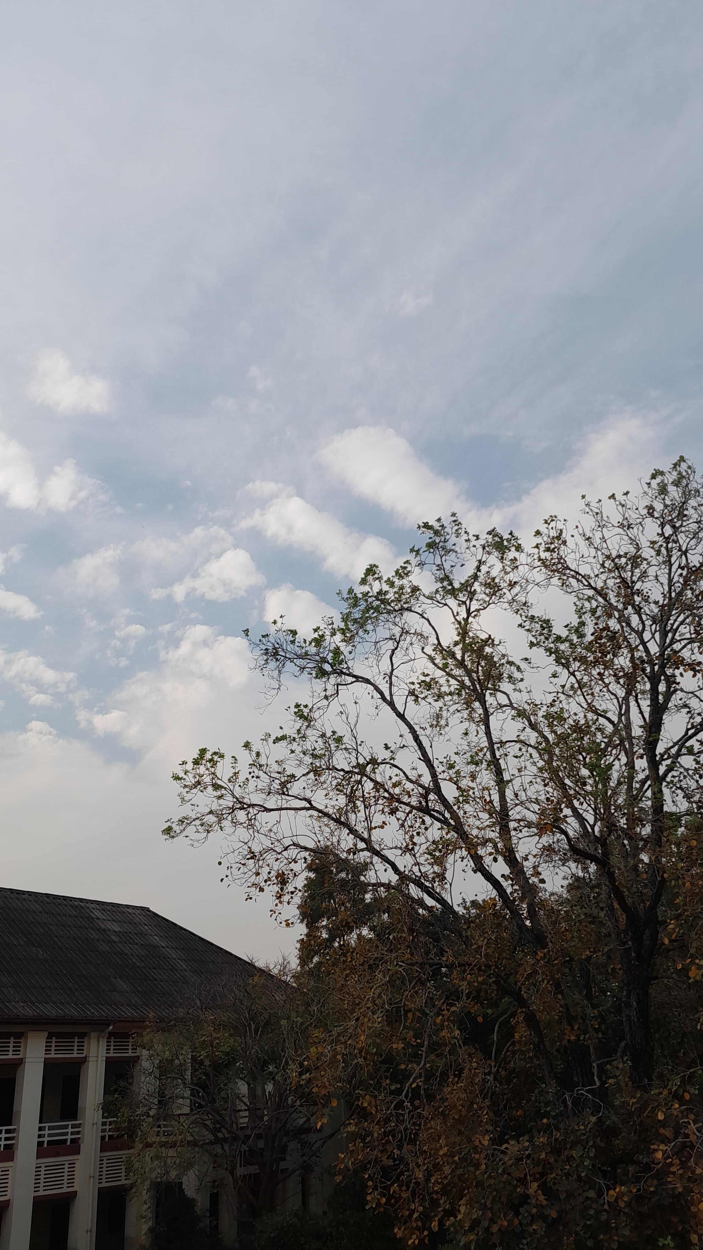 MCC Chennai Campus photo (10) by S S SREE SNEHA