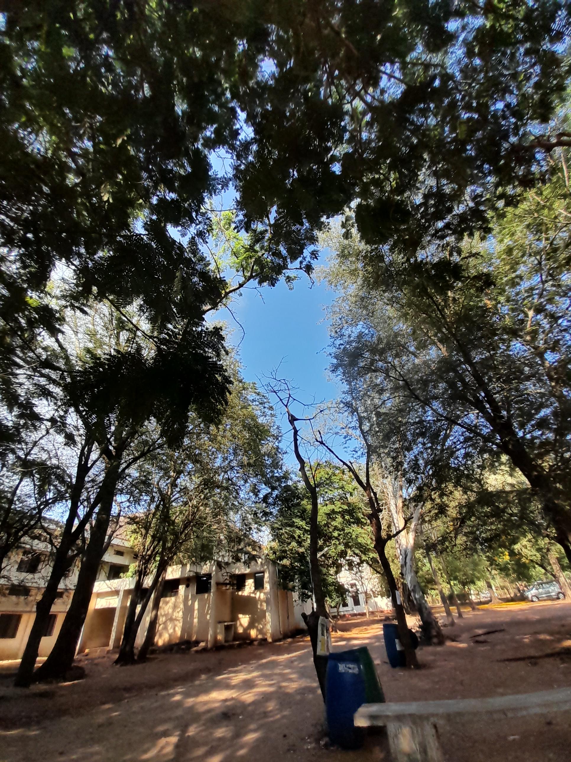 MCC Chennai Campus photo (9) by S S SREE SNEHA