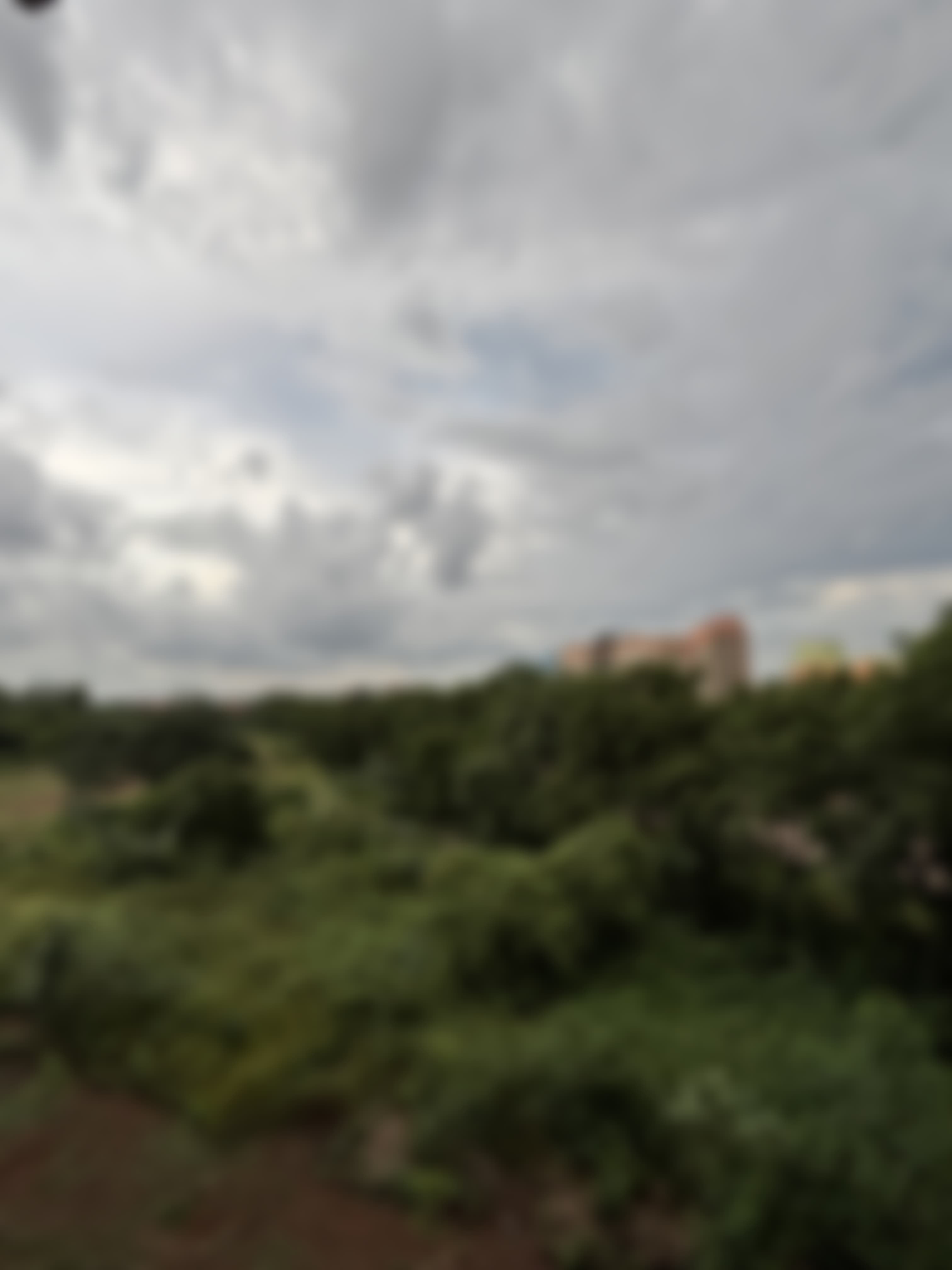 NIT Andhra Pradesh Campus photo (12) by Manoj Kumar