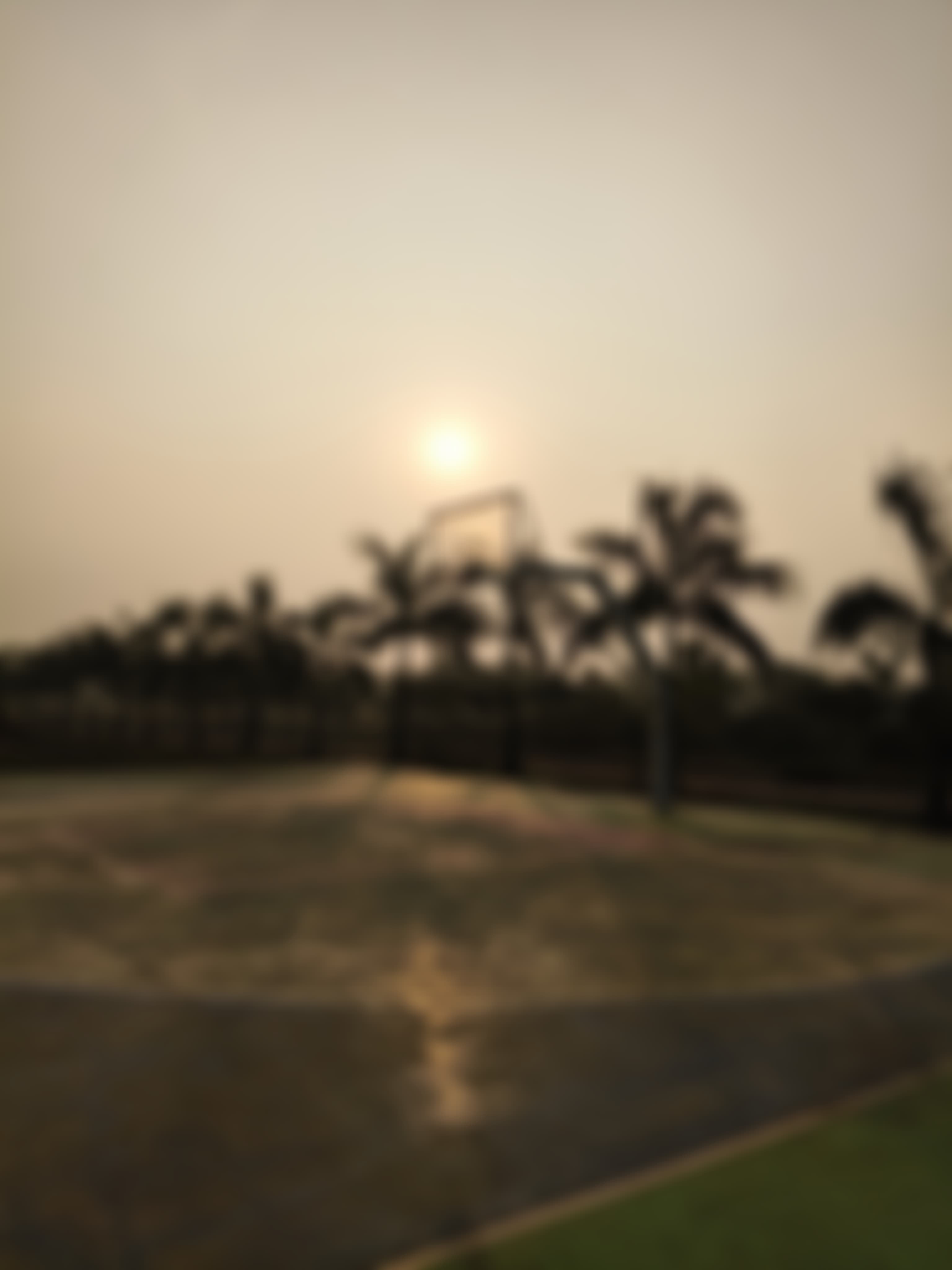 NIT Andhra Pradesh Campus photo (9) by Manoj Kumar