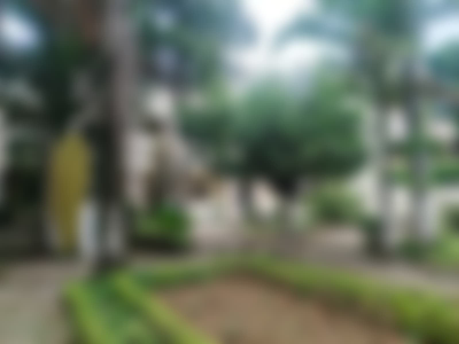 BIT Durg Campus photo (6) by Rijak kaur saluja