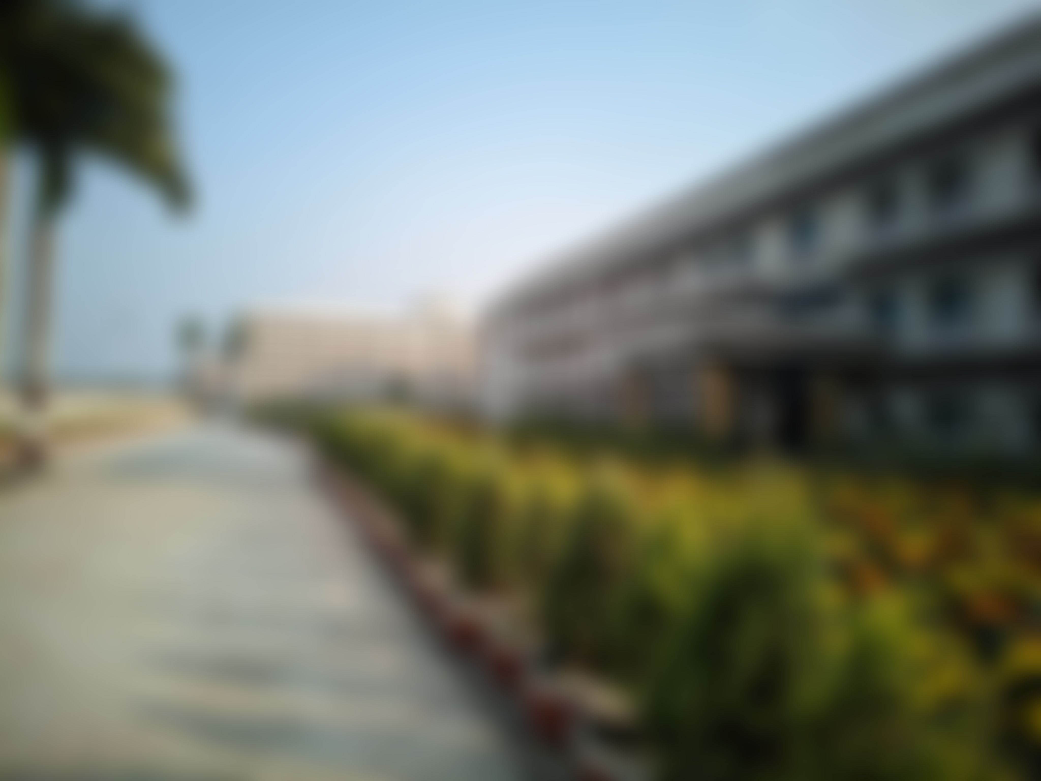 Swami Vivekananda University Kolkata Campus photo (4) by Anick saha