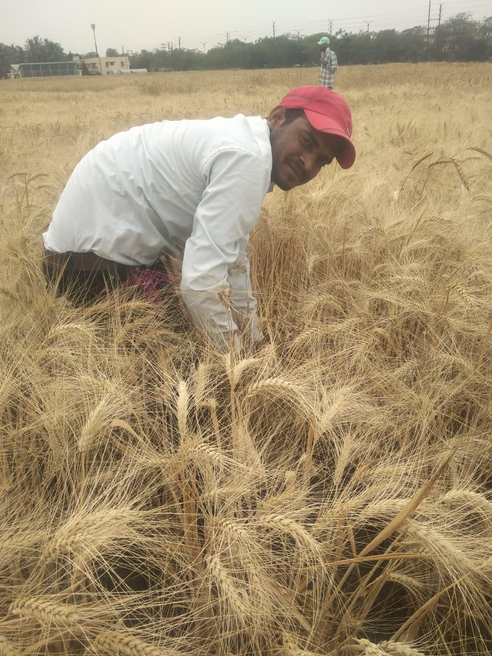 Government Holkar Science College Indore Extra-Curricular photo (3) by Rana pratap Pathak