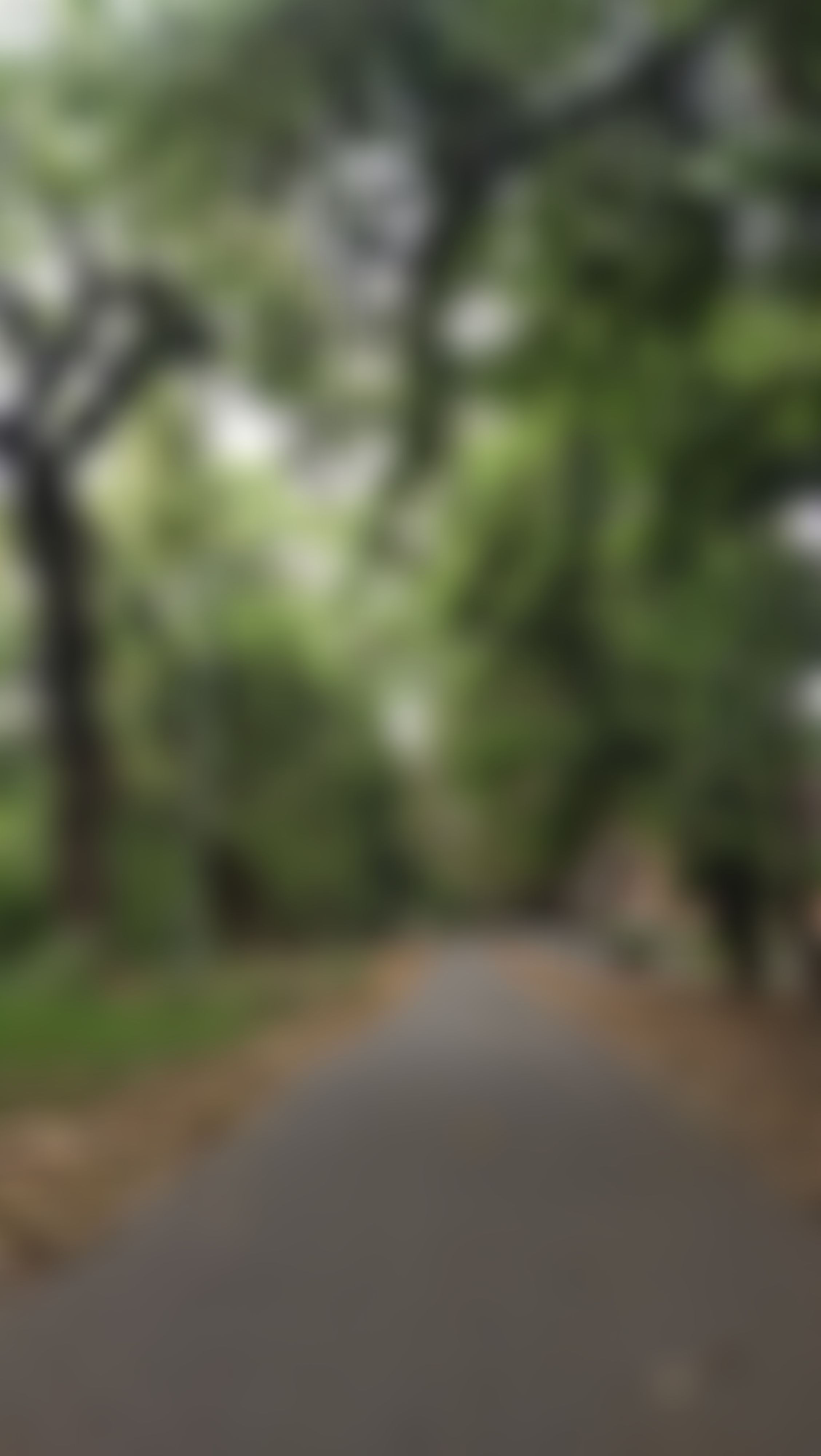University of Burdwan Bardhaman Campus photo (15) by Ishita Dey
