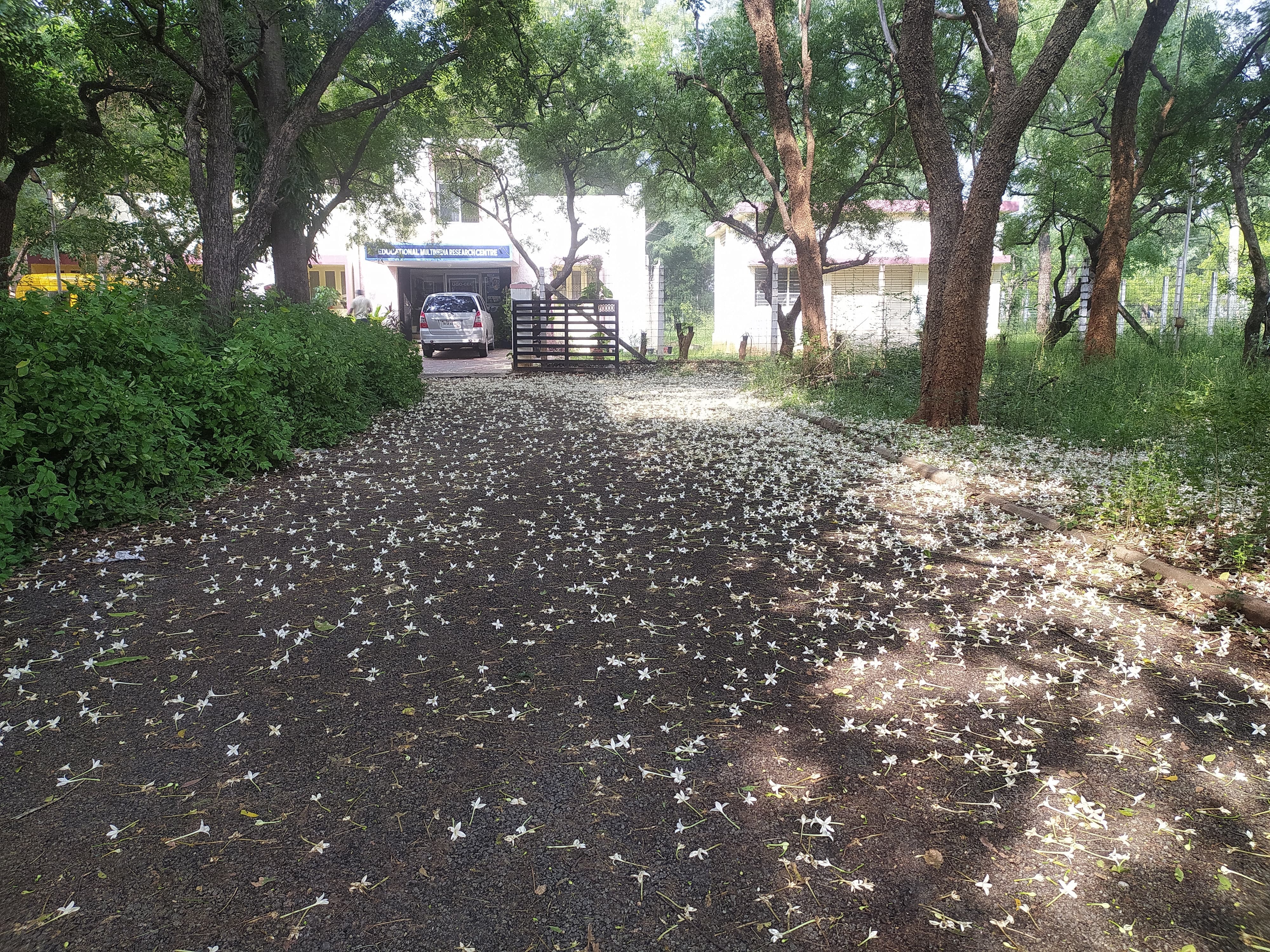 Madurai Kamaraj University Campus photo (9) by Lamnganbi Yumnam