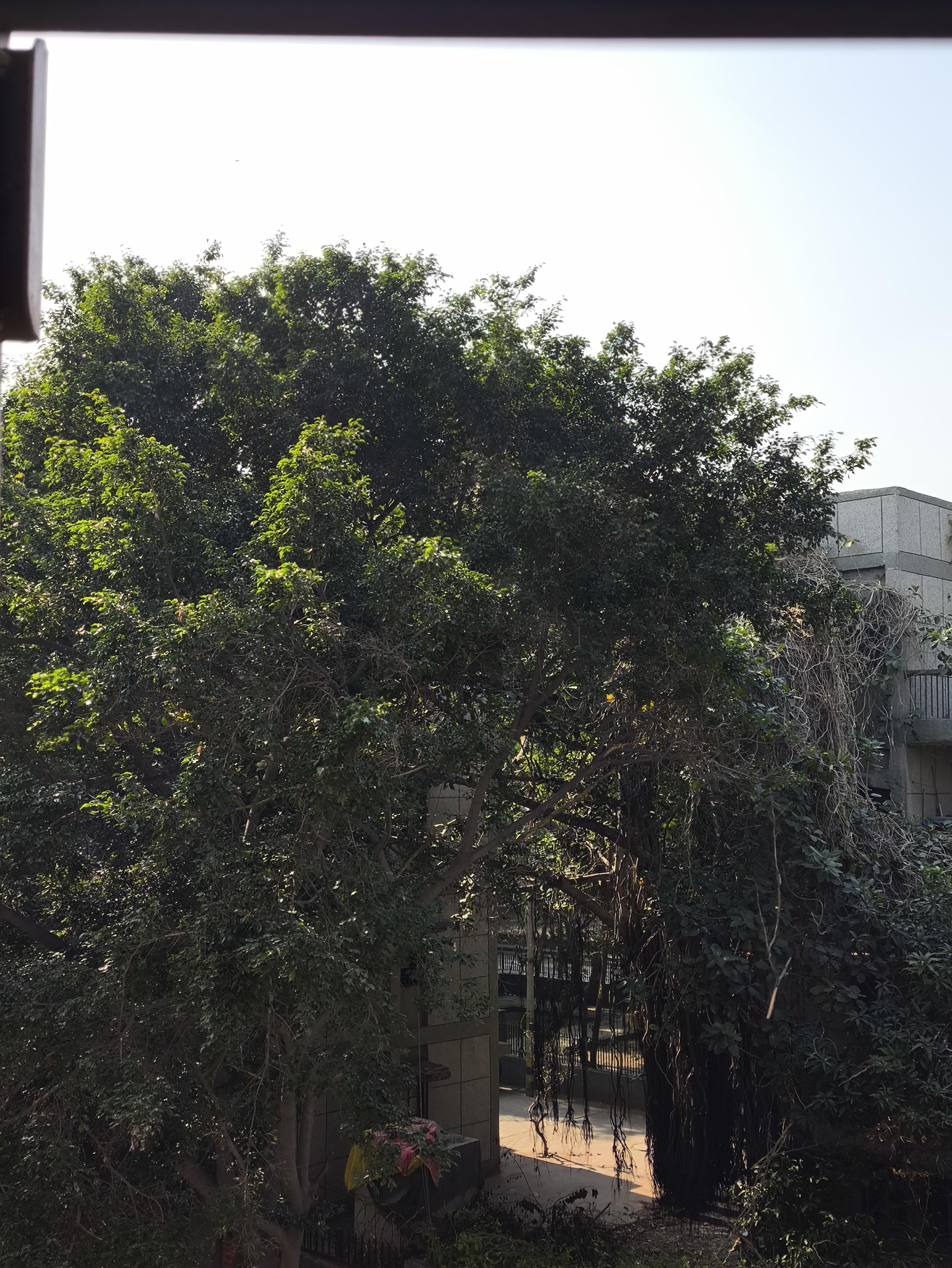 ADGITM Campus photo (15) by Gaurav Akoliya