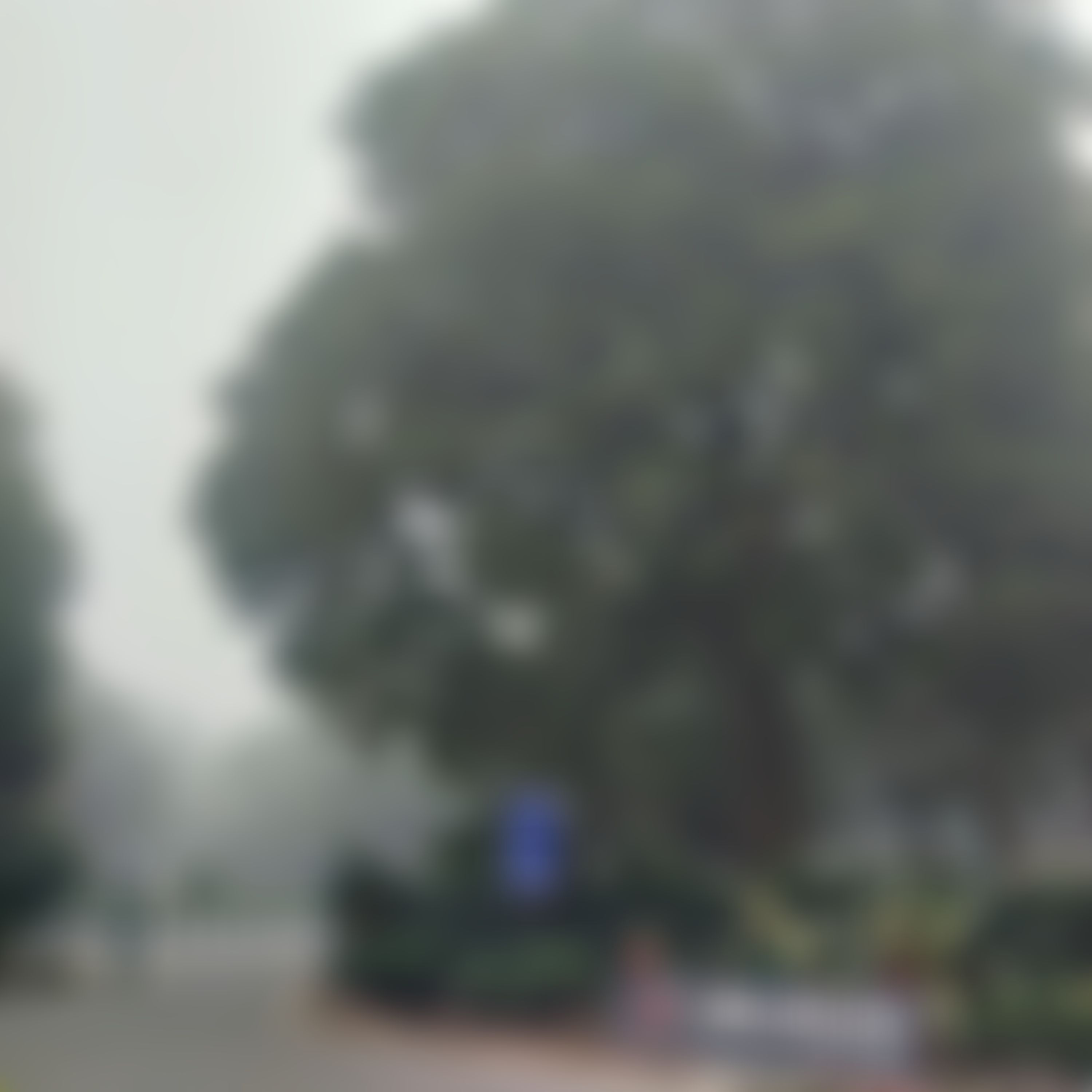 IIT Delhi Campus photo (18) by Saharsh