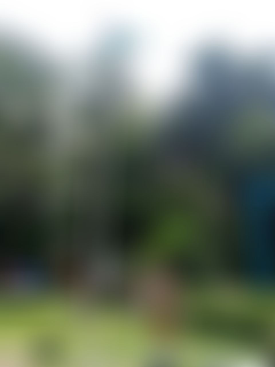 KL University Online Guntur Extra-Curricular photo (15) by SISTU SAI VAMSI