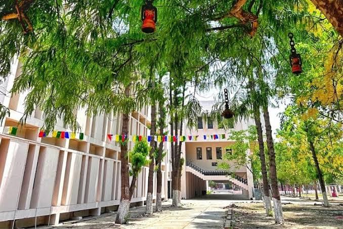 DDU Extra-Curricular photo (8) by Shiva Nand Shukla