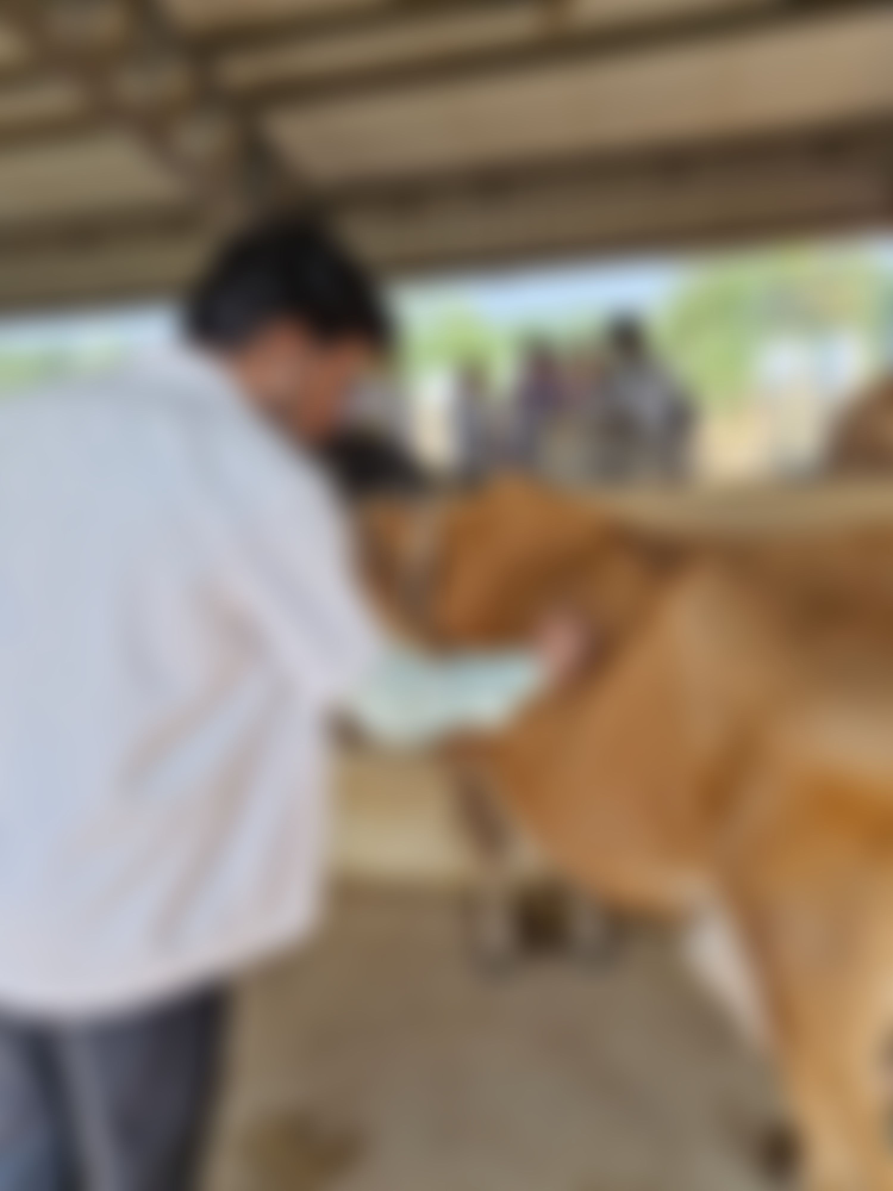 SOA University Extra-Curricular photo (20) by Srijan Mandal
