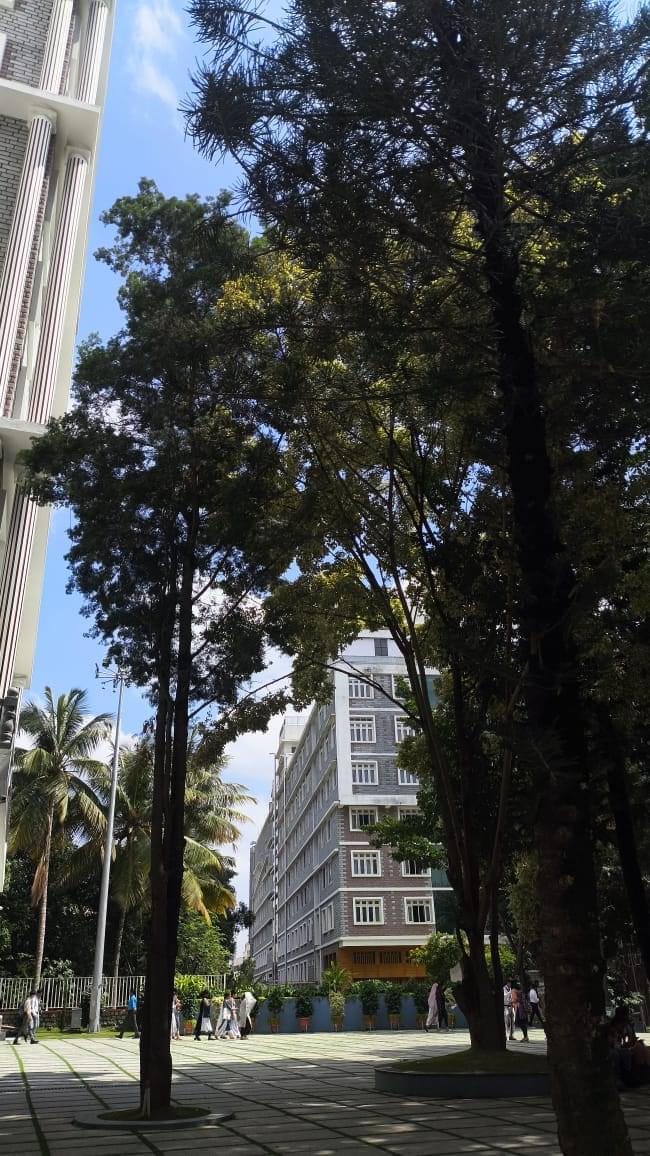 Kristu Jayanti University Campus photo (15) by Shreya Chawda