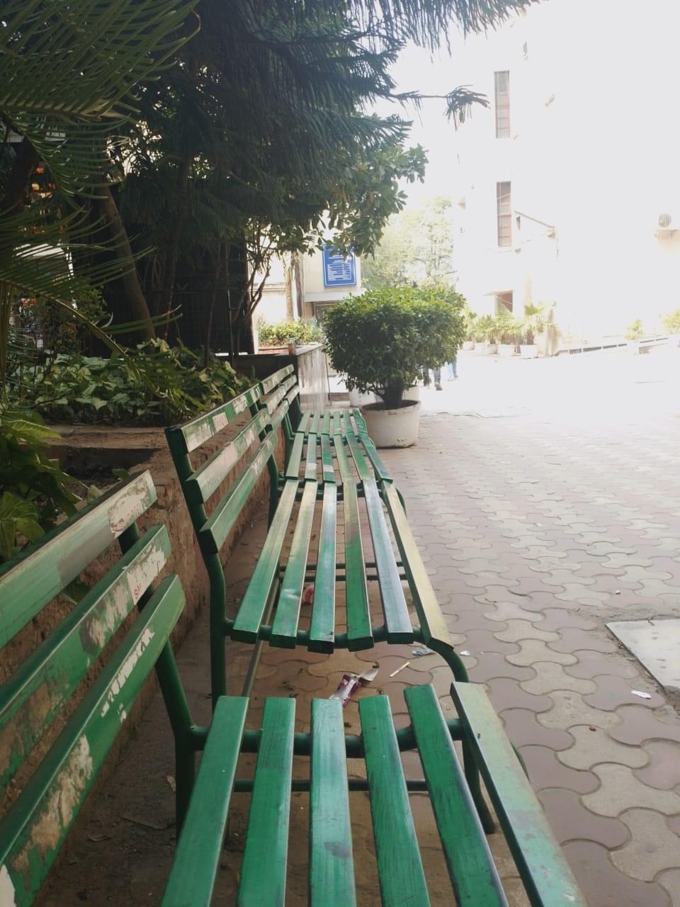 Zakir Husain Delhi College Campus photo (8) by Lamia Azhar