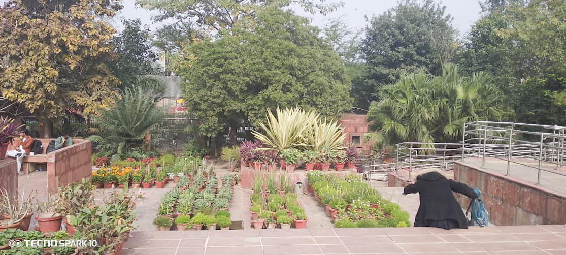 Zakir Husain Delhi College Campus photo (12) by Lamia Azhar