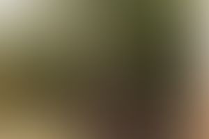 Loyola Academy Extra-Curricular photo (12) by Pavani