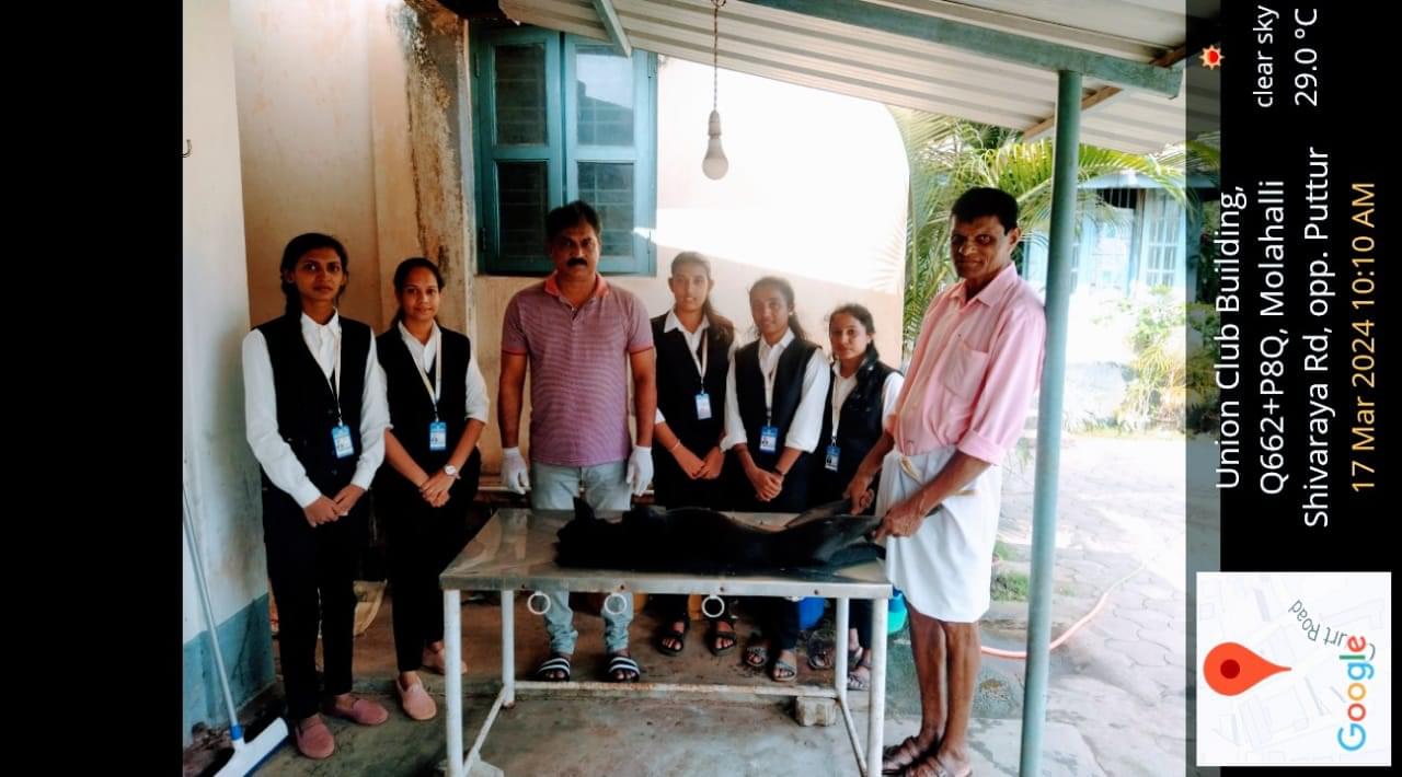 Vivekananda College of Engineering & Technology Puttur Extra-Curricular photo (2) by Dhanya Naik