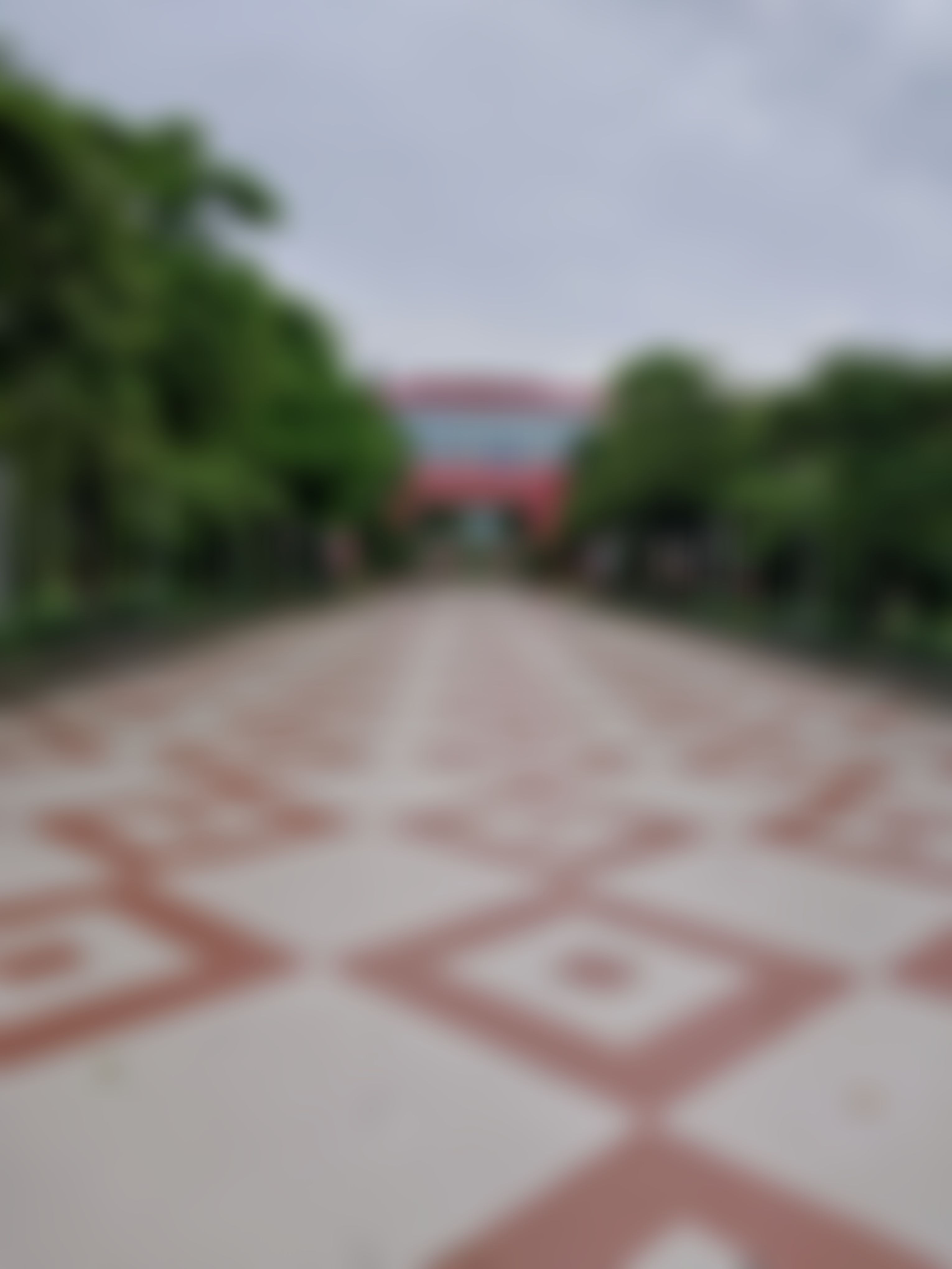 SMVDU Campus photo (13) by Anonymous