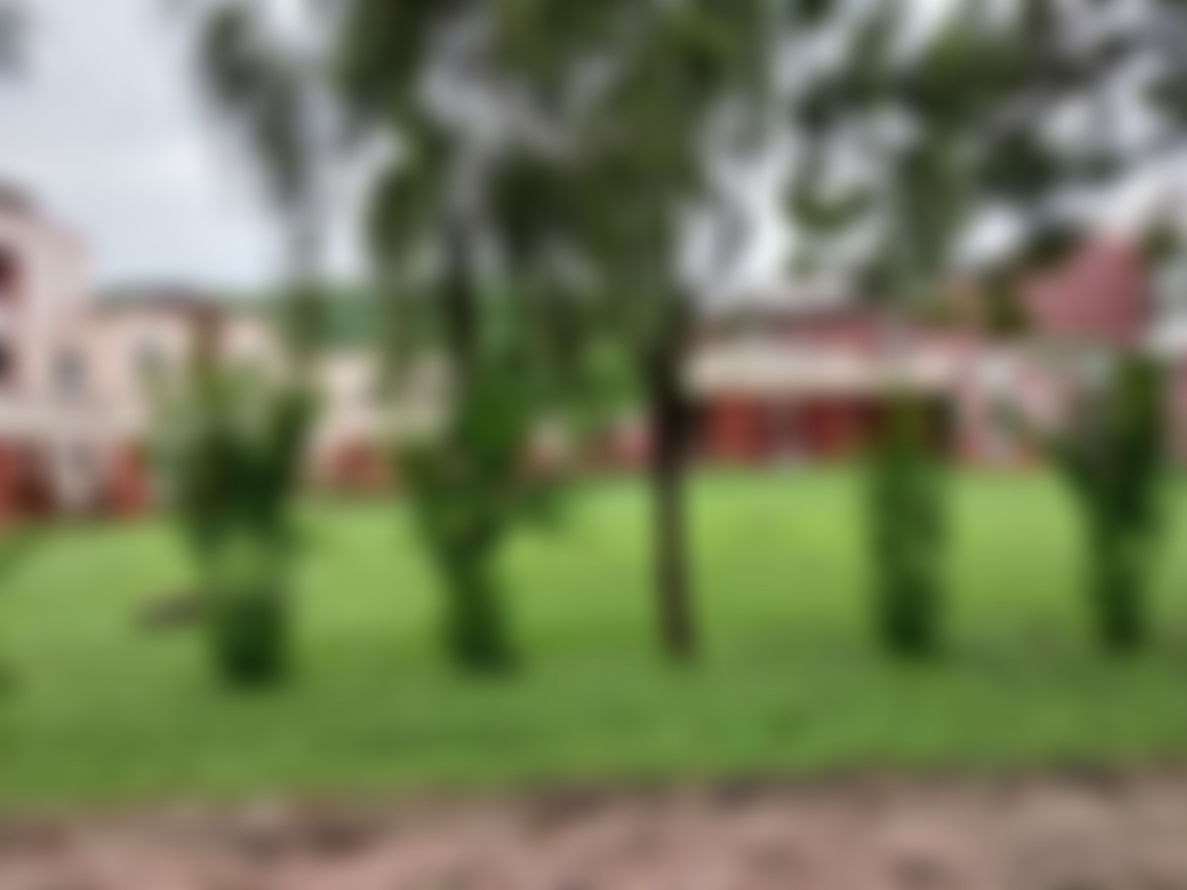 SMVDU Infrastructure & Academic Building photo (11) by Anonymous