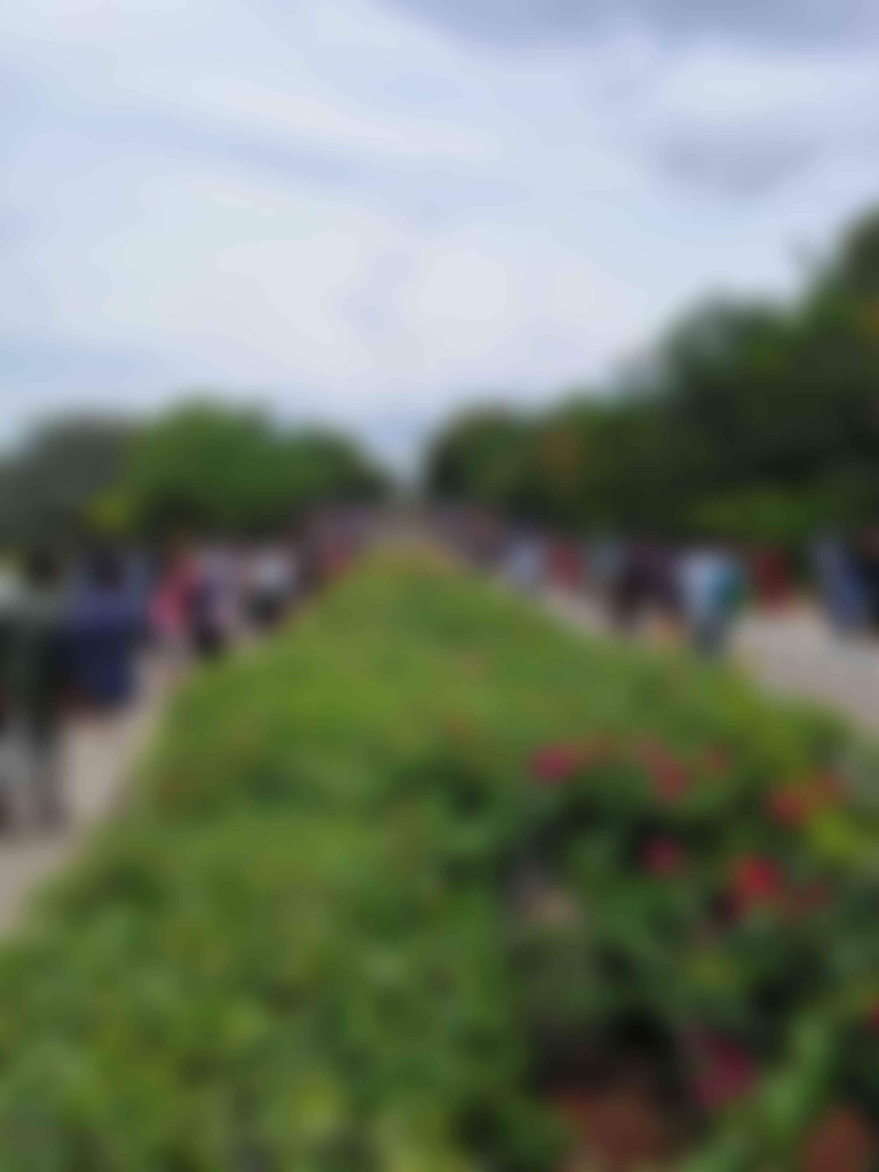 SKCET Infrastructure & Academic Building photo (10) by Asvith Kumar M
