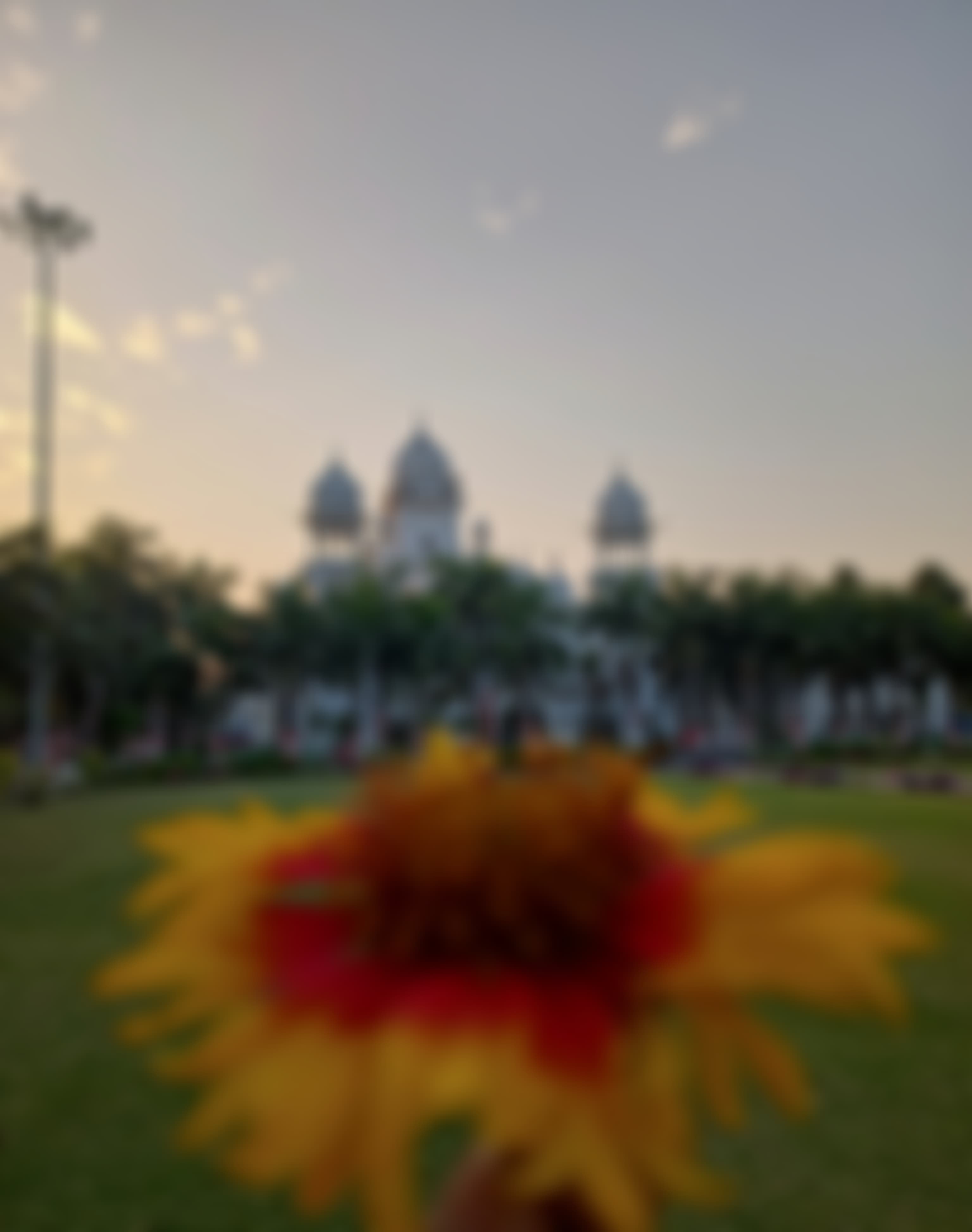 KGMU Campus photo (1) by Saurabh Saroj