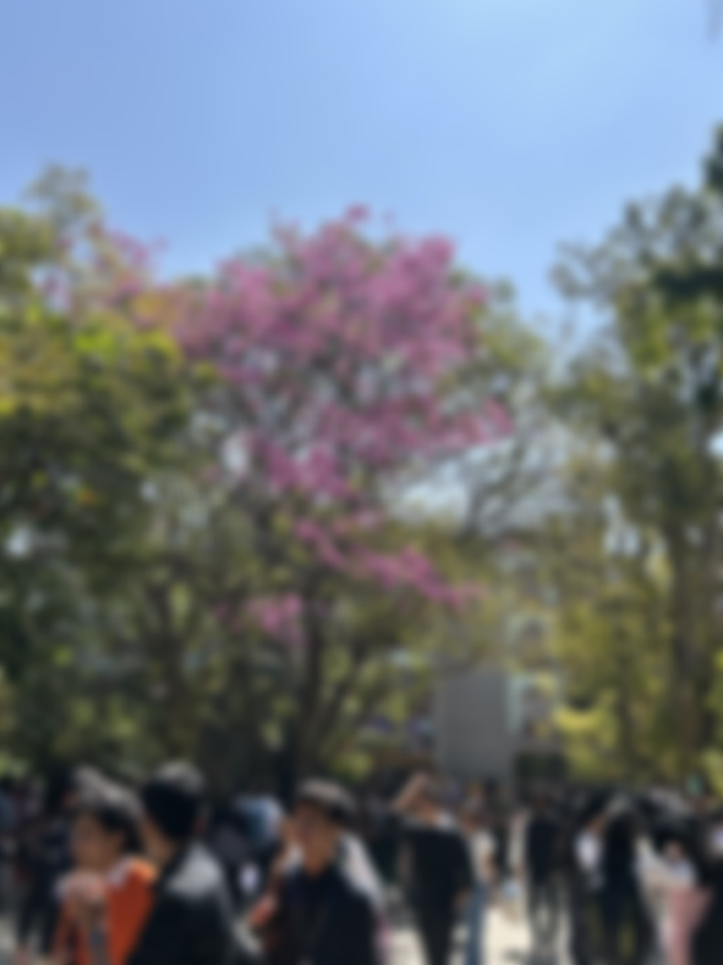 Christ University Campus photo (9) by Vaishnav Vinod