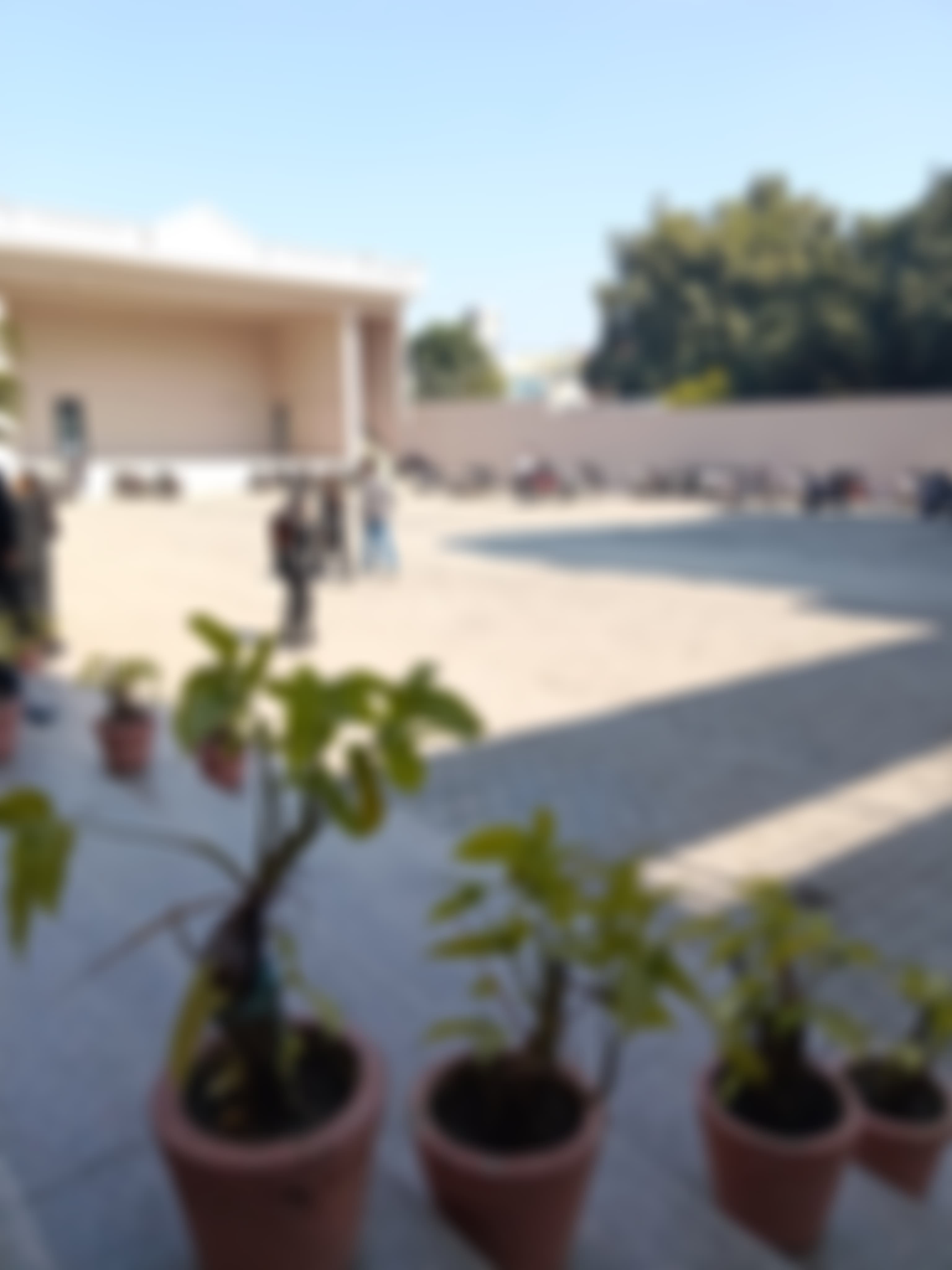 TMU Campus photo (12) by Raja jain