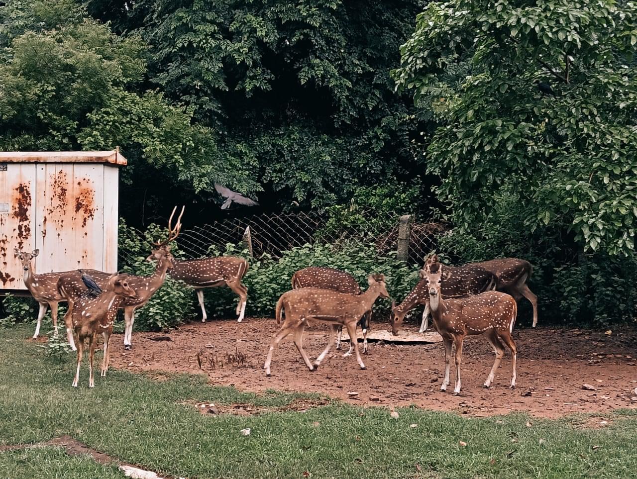 MCC Chennai Campus photo 6