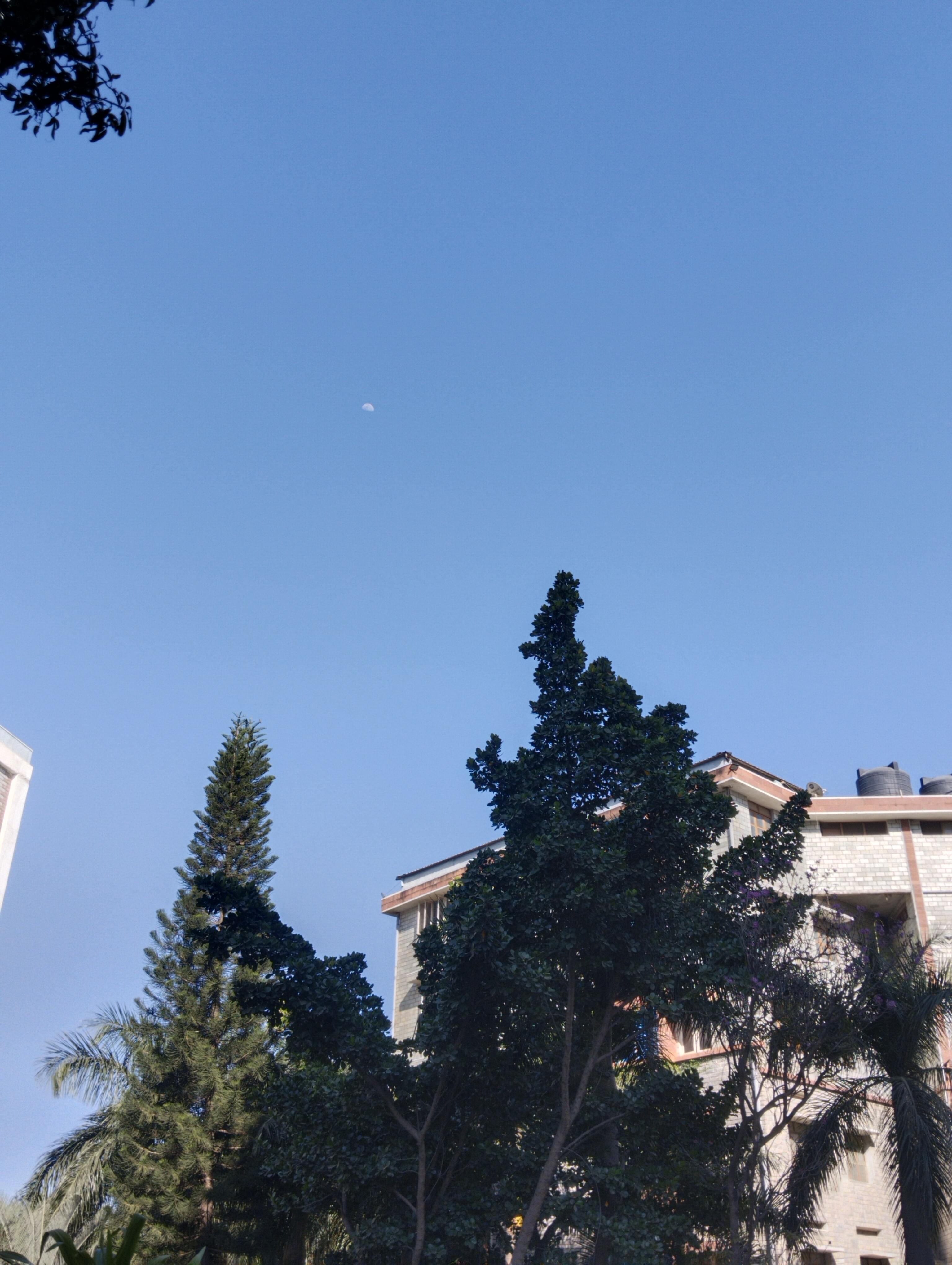 Kristu Jayanti University Campus photo 4