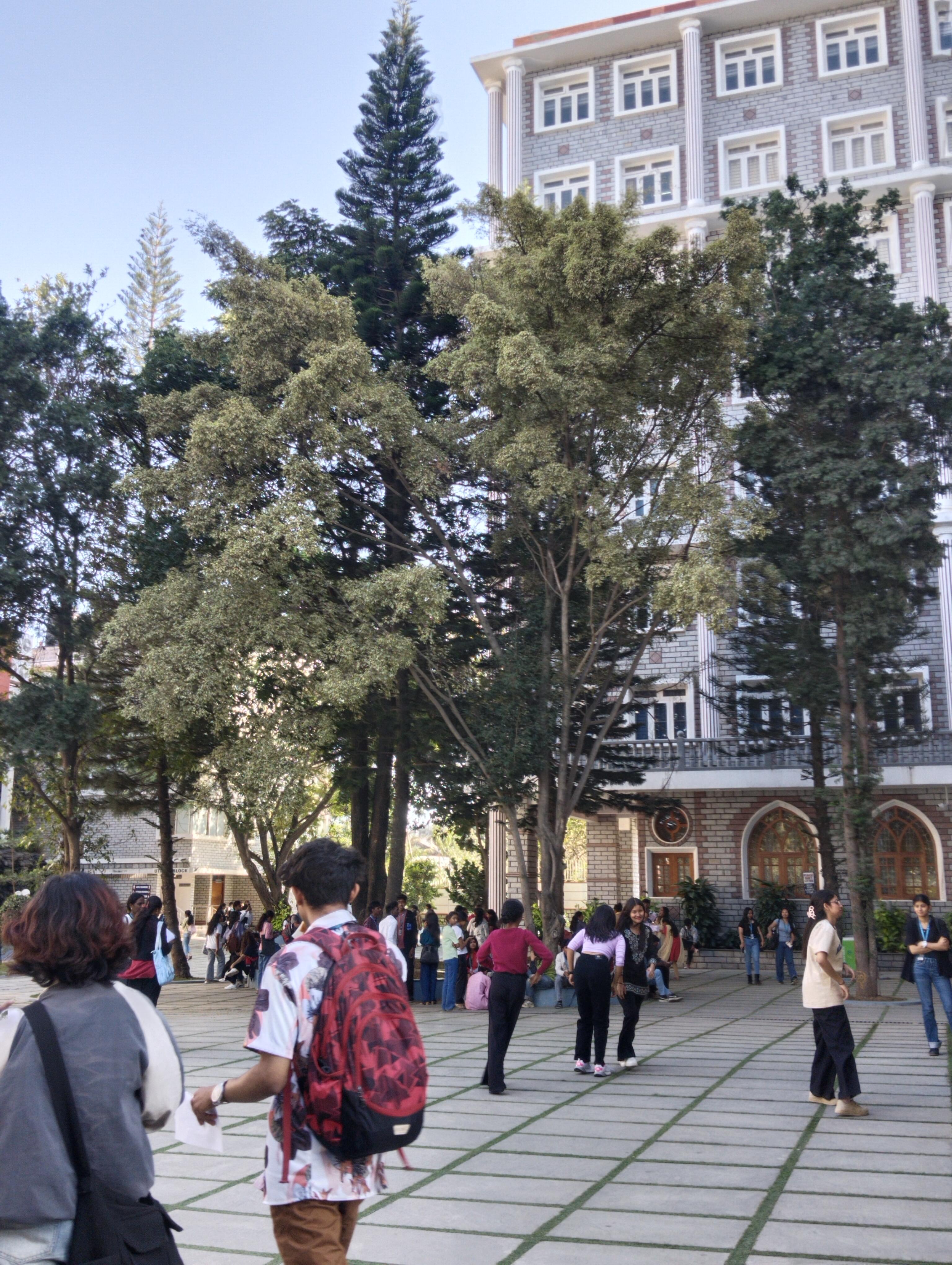 Kristu Jayanti University Campus photo 3