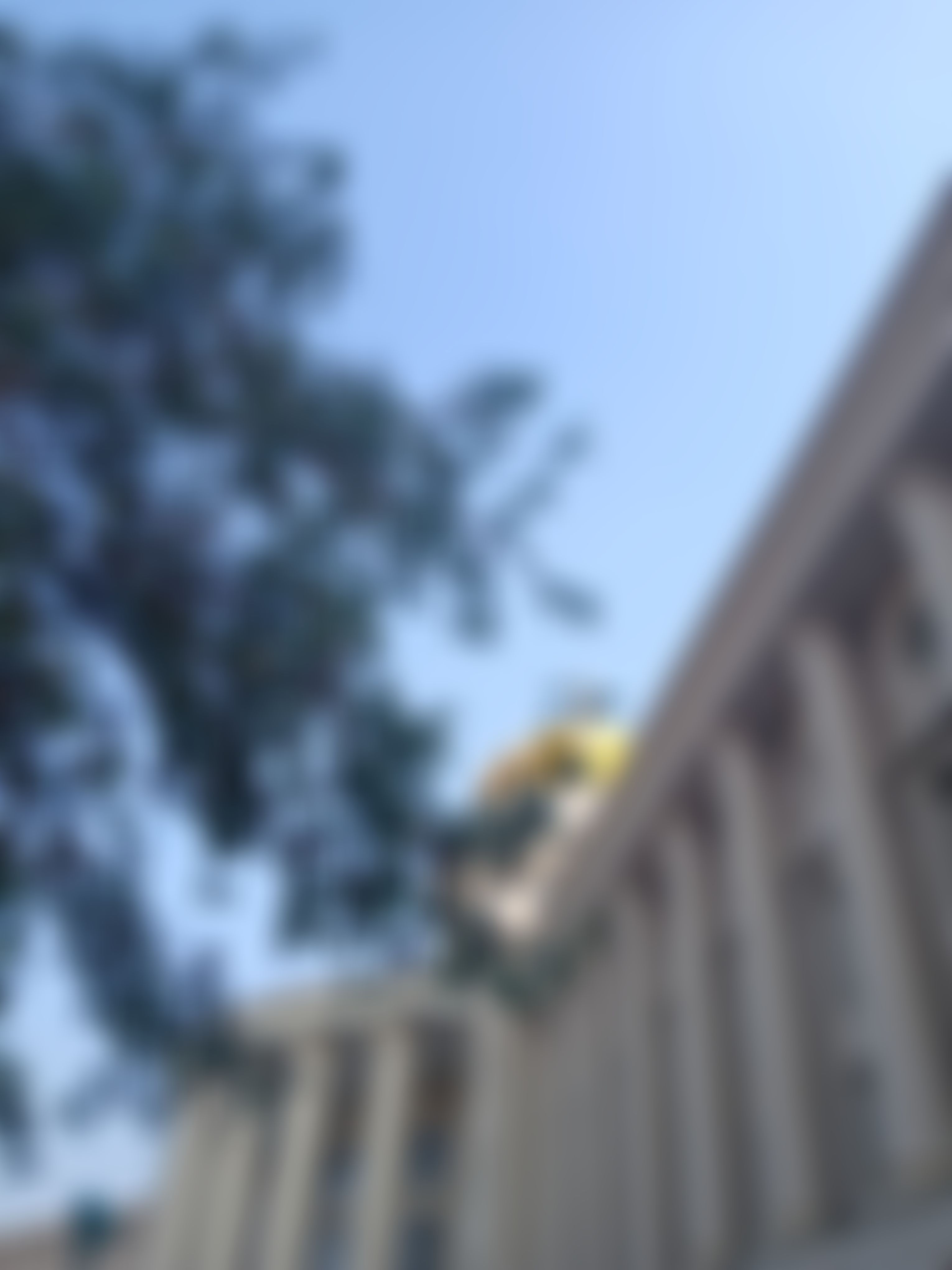 Manipal University Jaipur Infrastructure & Academic Building photo (18) by Pragati Jain