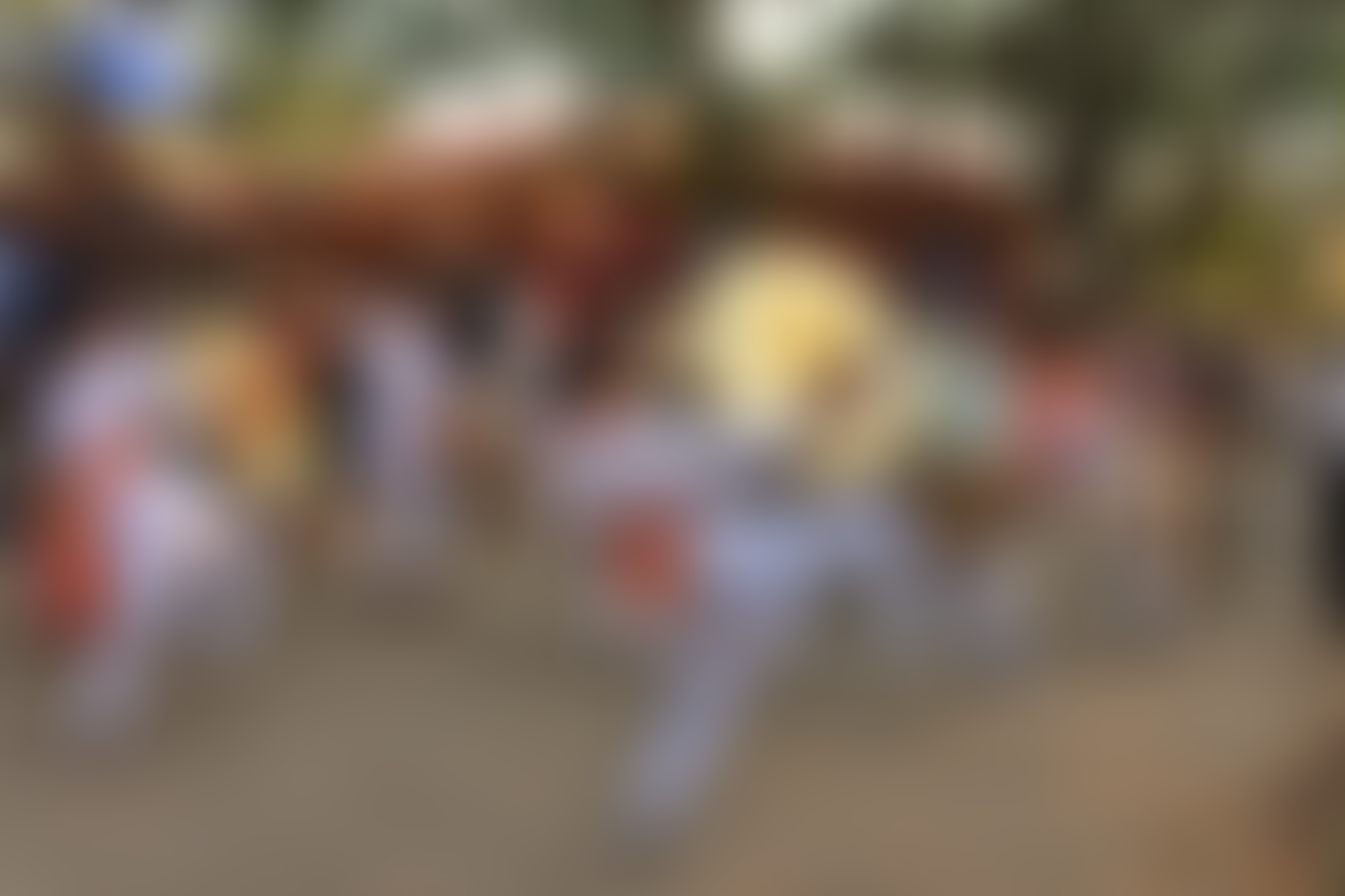 MITADT Events photo (11) by Aryan