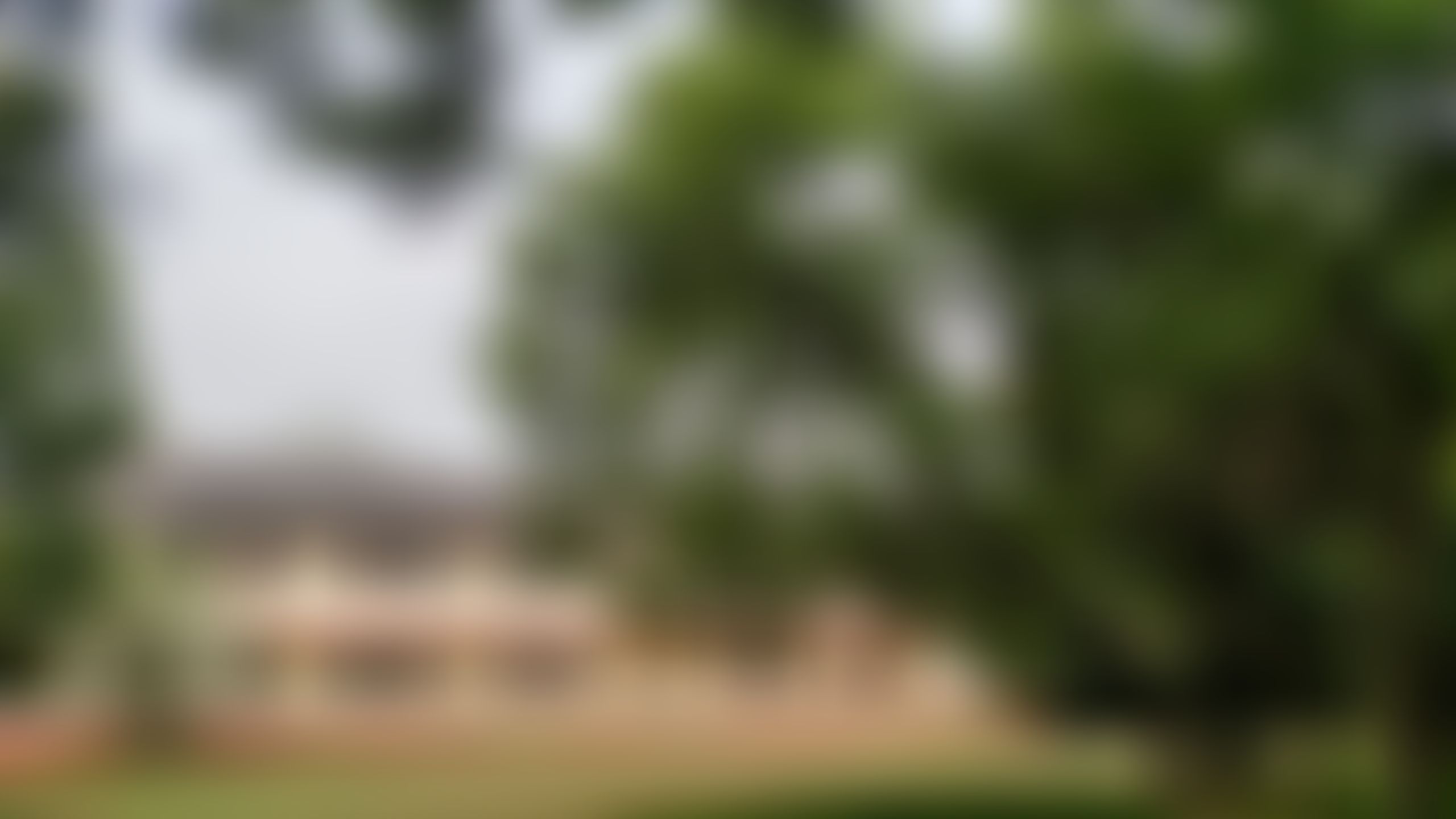 MCC Chennai Campus photo (2) by Pragati