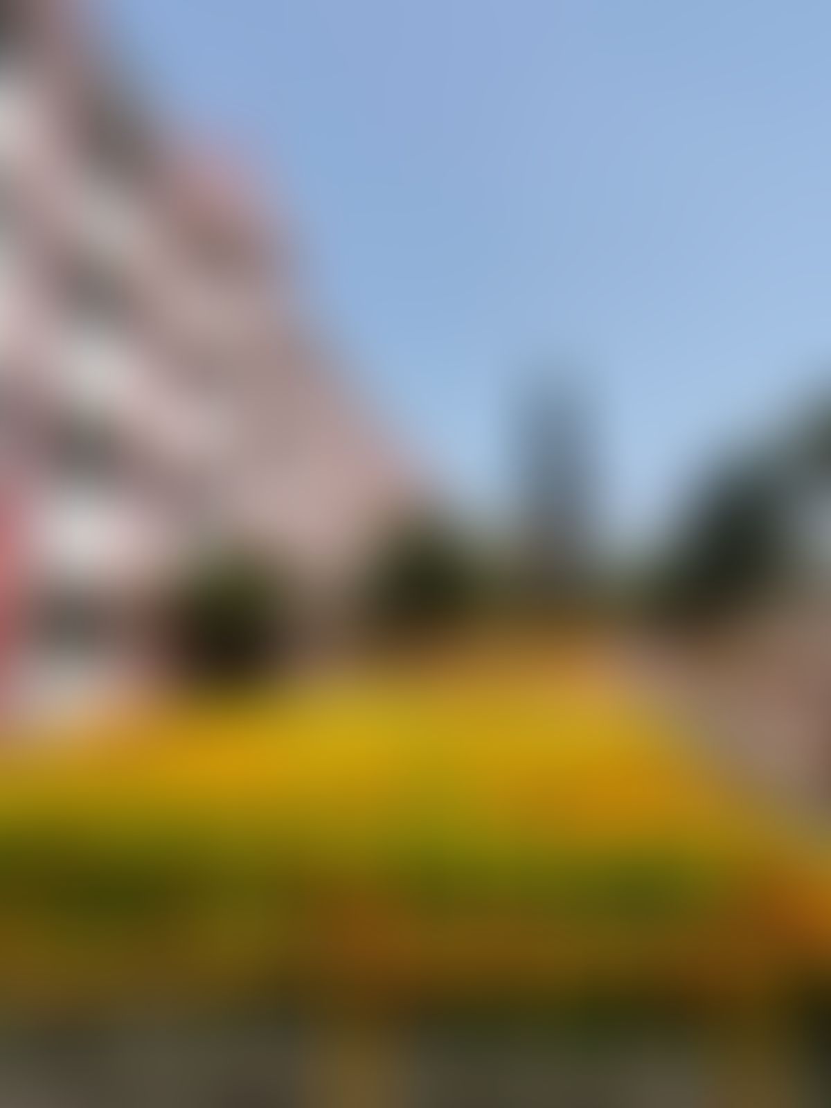 Kingston Law College Kolkata Campus photo (19) by Aman kumar Sarraf