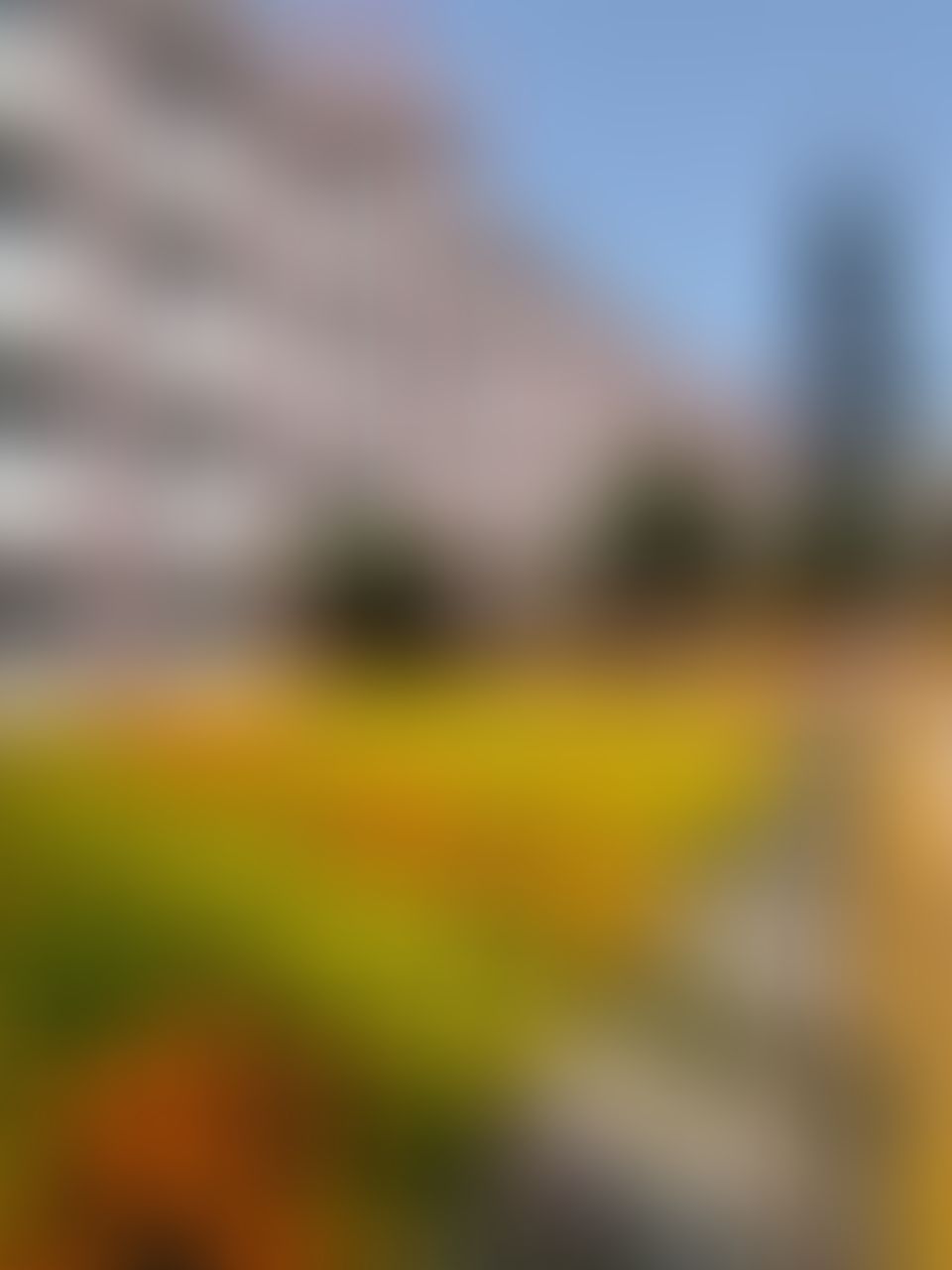 Kingston Law College Kolkata Campus photo (20) by Aman kumar Sarraf